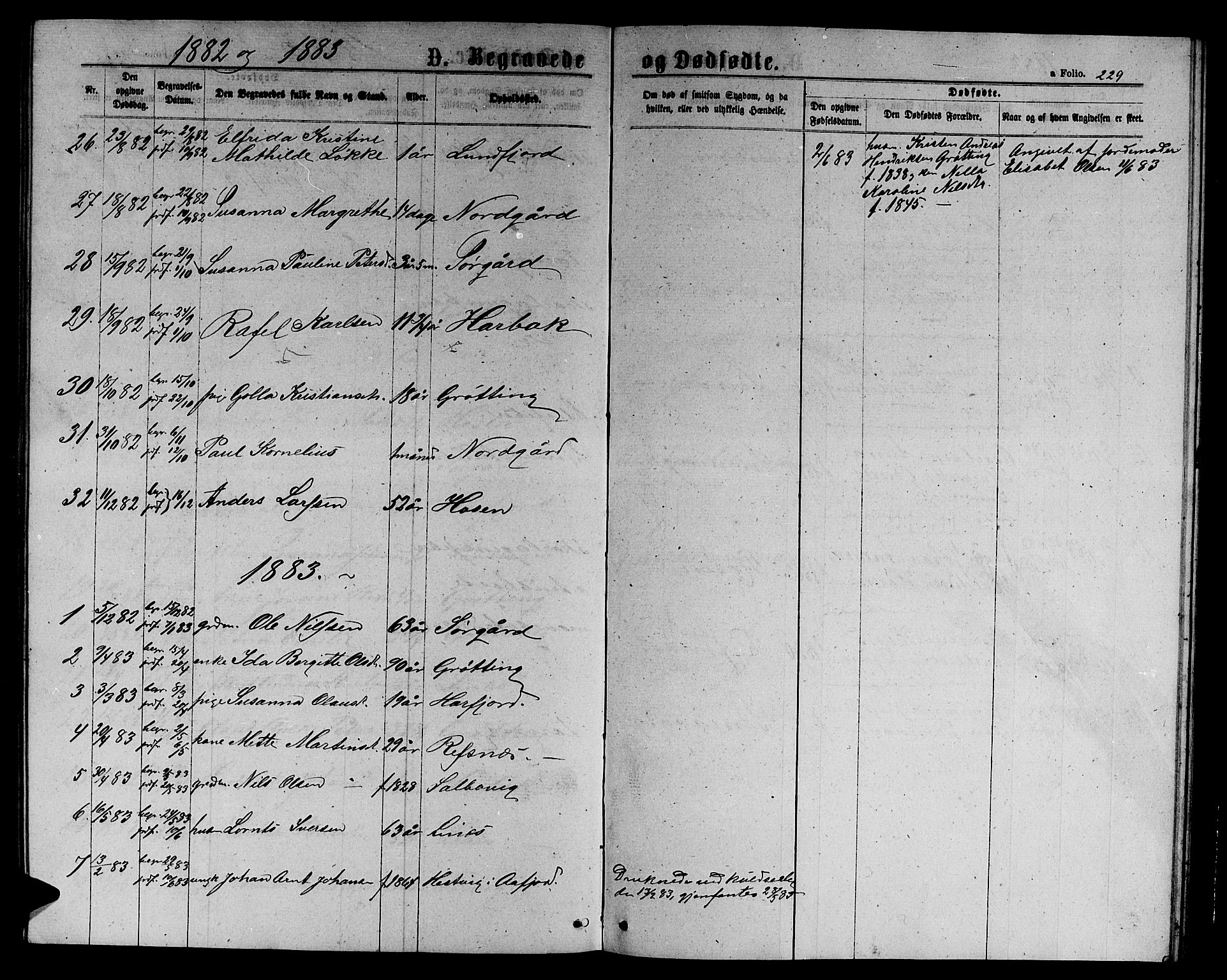 Ministerialprotokoller, klokkerbøker og fødselsregistre - Sør-Trøndelag, SAT/A-1456/656/L0695: Klokkerbok nr. 656C01, 1867-1889, s. 229