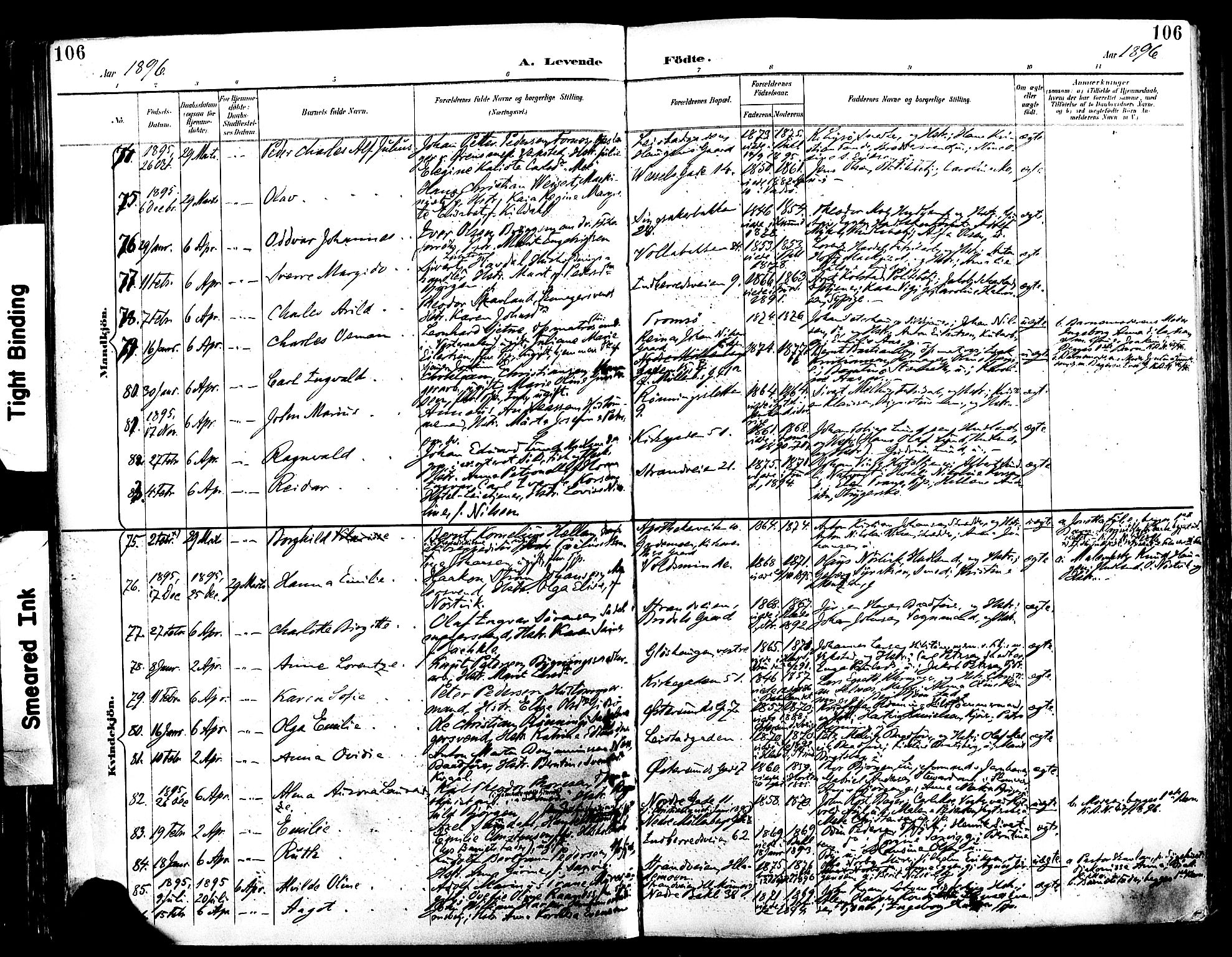 Ministerialprotokoller, klokkerbøker og fødselsregistre - Sør-Trøndelag, AV/SAT-A-1456/604/L0197: Ministerialbok nr. 604A18, 1893-1900, s. 106