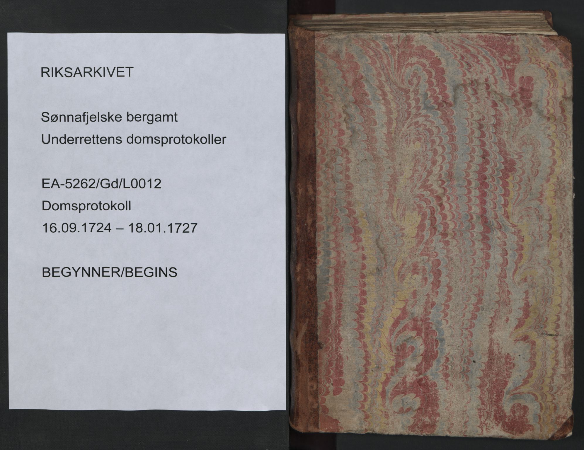 Sønnafjelske bergamt , SAKO/EA-5262/G/Gd/L0007: Domsprotokoll, 1724-1727