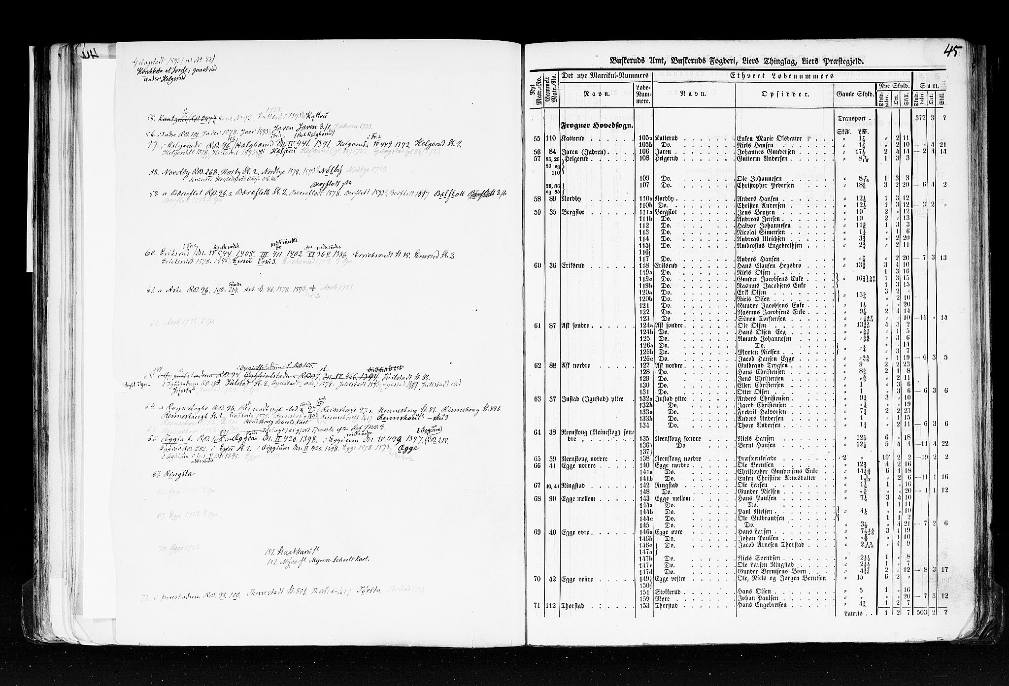 Rygh, AV/RA-PA-0034/F/Fb/L0005: Matrikkelen for 1838 - Buskerud amt (Buskerud fylke), 1838, s. 45a