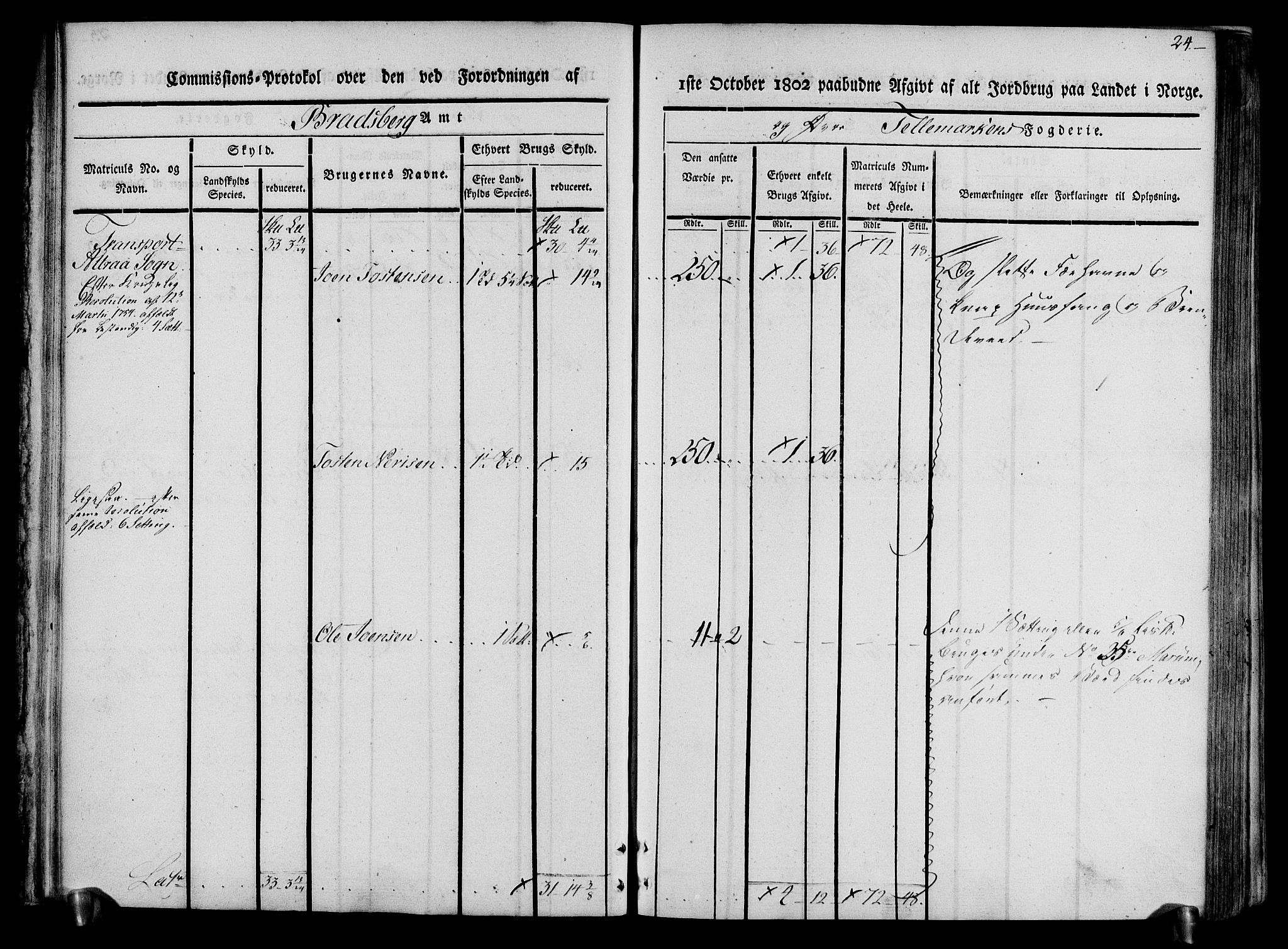 Rentekammeret inntil 1814, Realistisk ordnet avdeling, RA/EA-4070/N/Ne/Nea/L0074: Øvre Telemarken fogderi. Kommisjonsprotokoll for fogderiets østre del - Tinn, Hjartdal og Seljord prestegjeld., 1803, s. 24