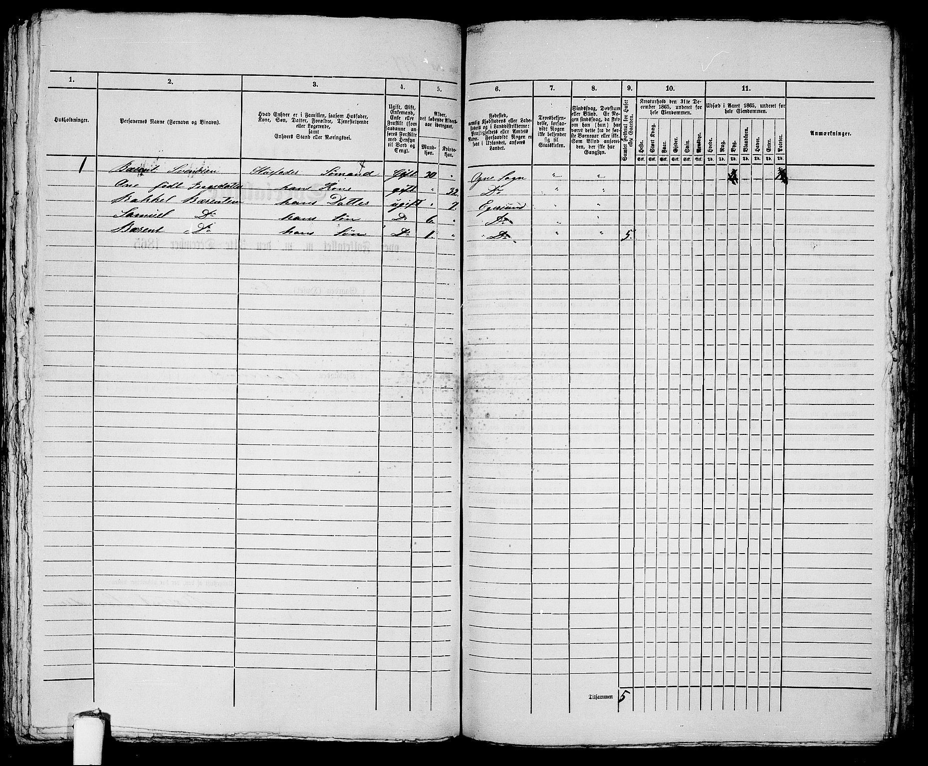 RA, Folketelling 1865 for 1101B Eigersund prestegjeld, Egersund ladested, 1865, s. 407