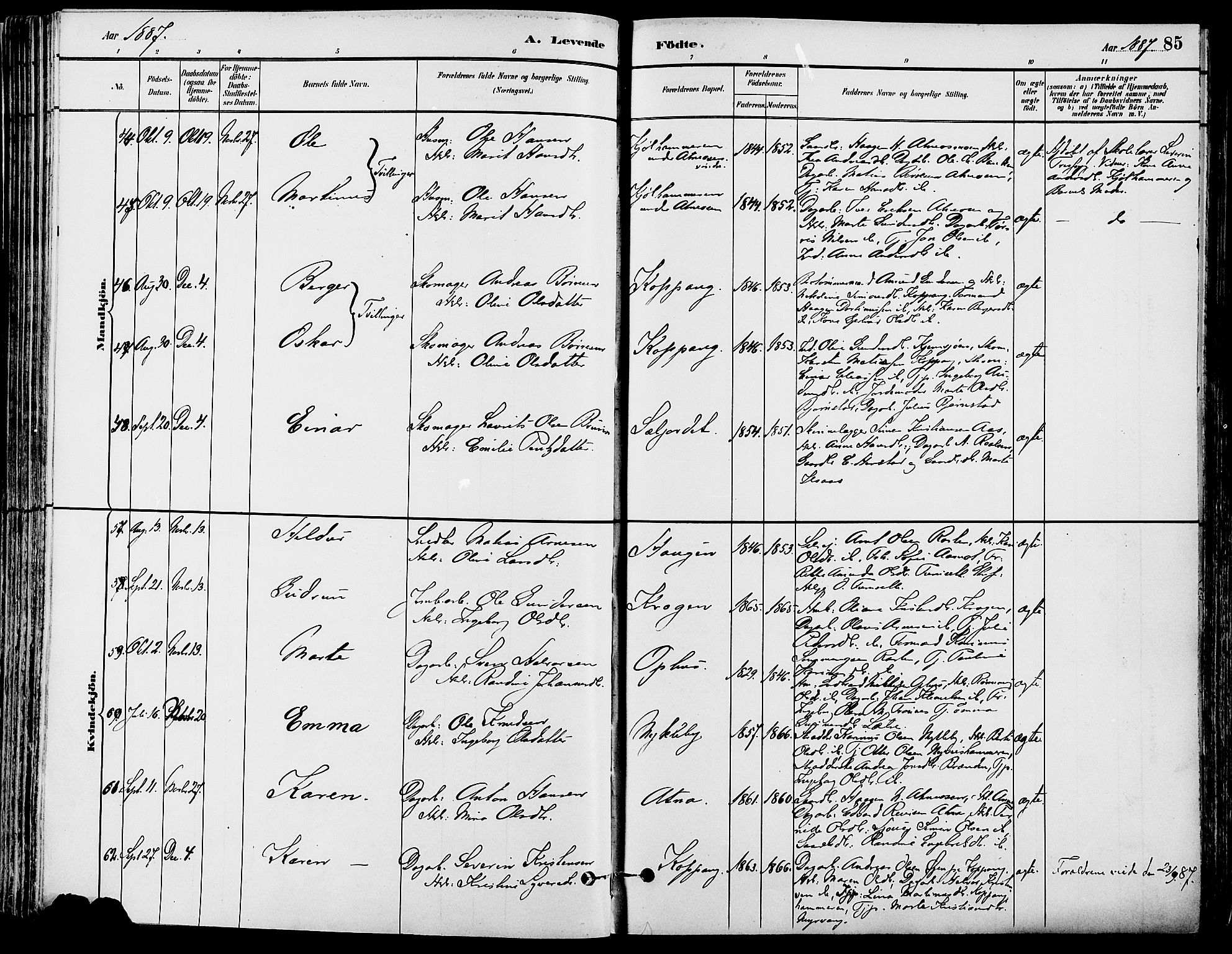 Stor-Elvdal prestekontor, AV/SAH-PREST-052/H/Ha/Haa/L0002: Ministerialbok nr. 2, 1882-1907, s. 85