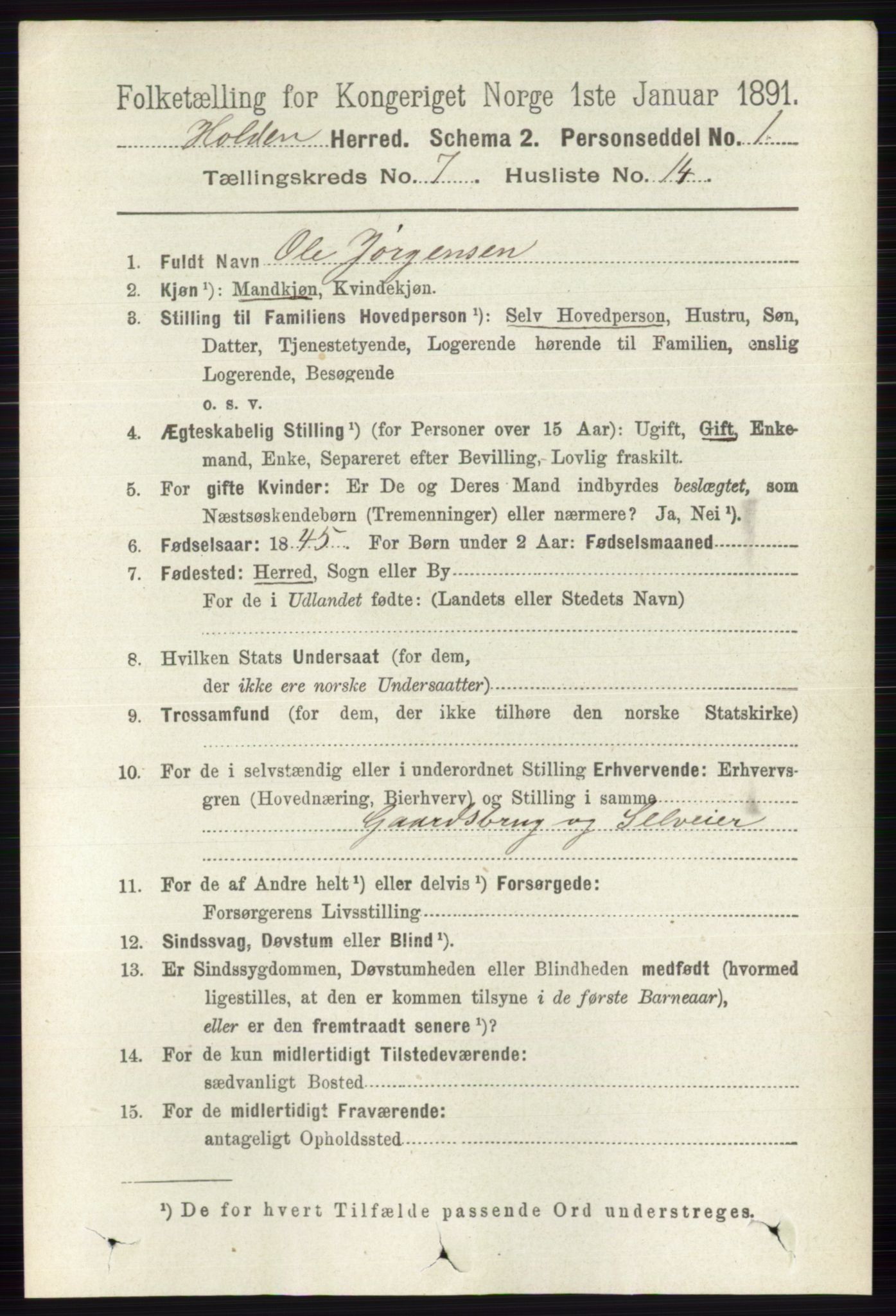 RA, Folketelling 1891 for 0819 Holla herred, 1891, s. 3356