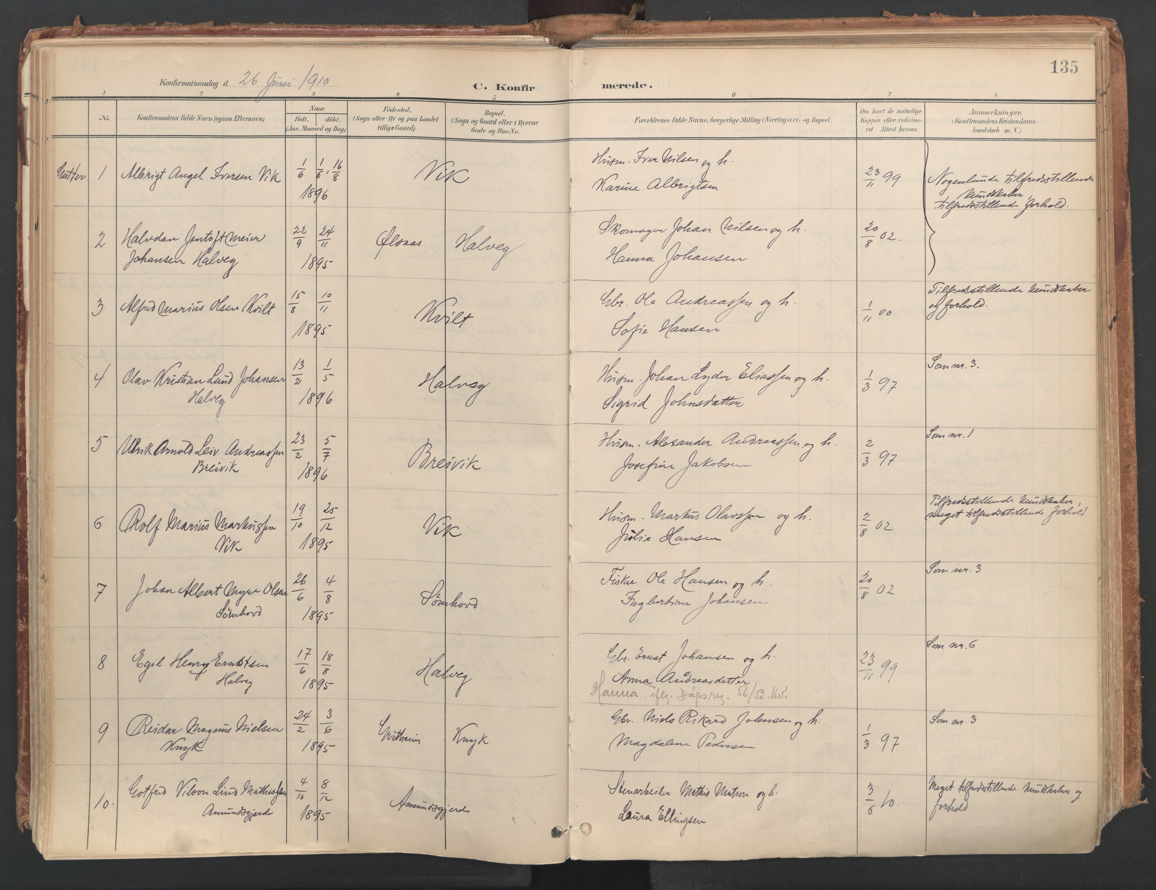 Ministerialprotokoller, klokkerbøker og fødselsregistre - Nordland, AV/SAT-A-1459/812/L0180: Ministerialbok nr. 812A09, 1901-1915, s. 135