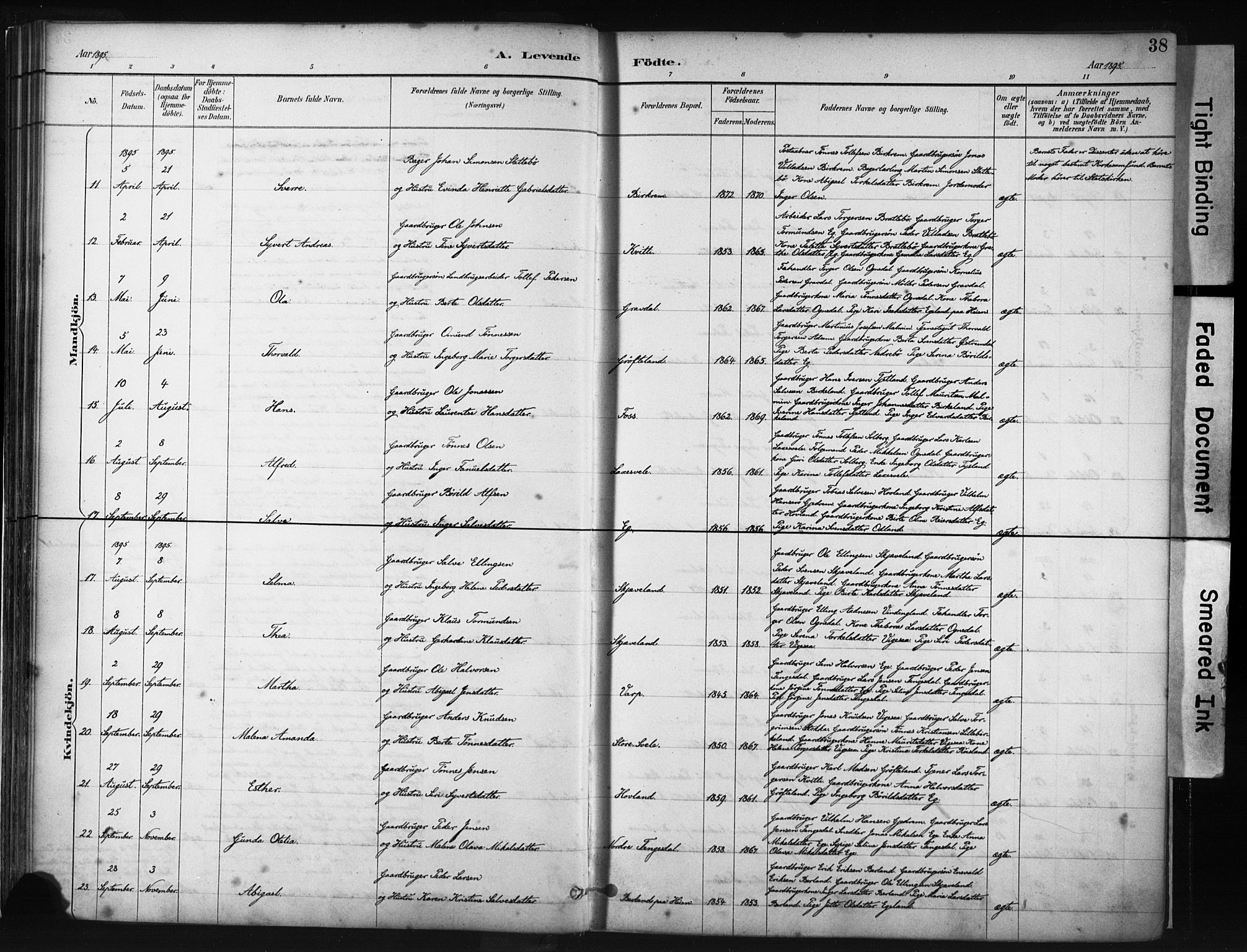 Helleland sokneprestkontor, AV/SAST-A-101810: Ministerialbok nr. A 9, 1887-1908, s. 38