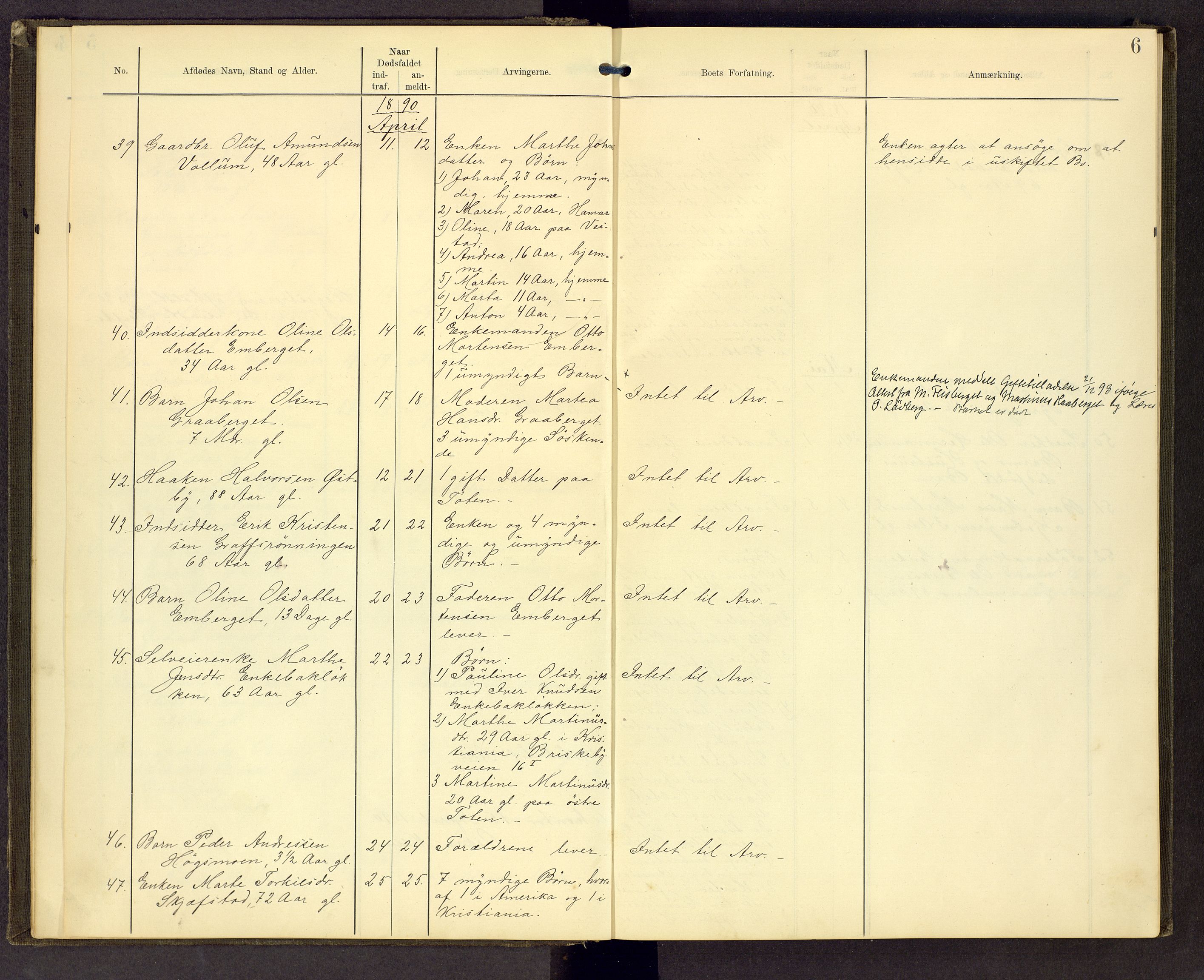 Sør-Østerdal sorenskriveri, AV/SAH-TING-018/J/Jg/L0004: Dødsfallsjournal, 1889-1903, s. 6