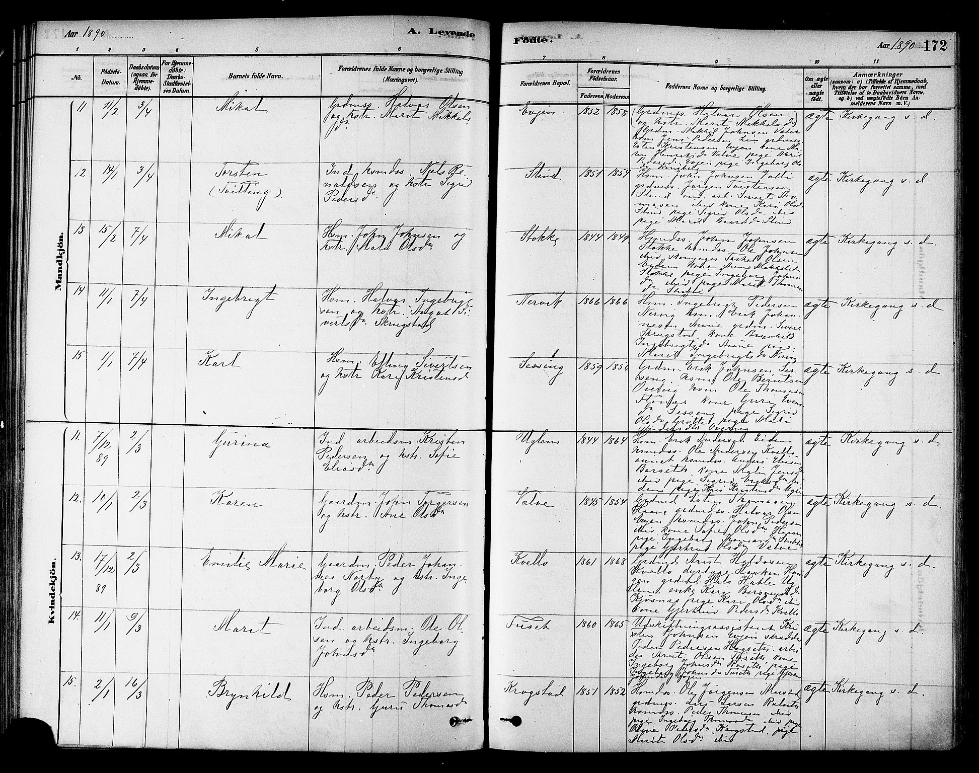 Ministerialprotokoller, klokkerbøker og fødselsregistre - Sør-Trøndelag, SAT/A-1456/695/L1148: Ministerialbok nr. 695A08, 1878-1891, s. 172