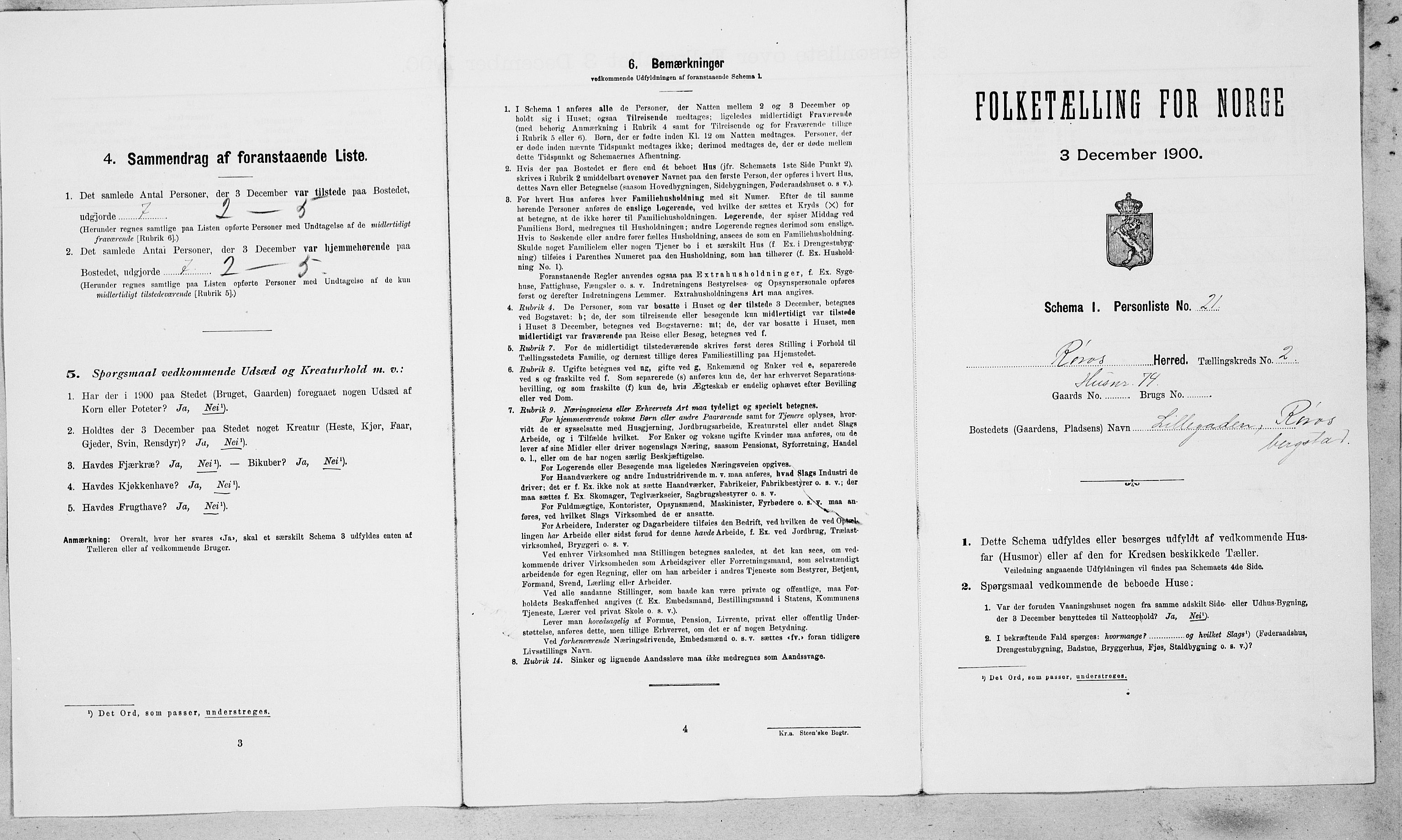 SAT, Folketelling 1900 for 1640 Røros herred, 1900, s. 186