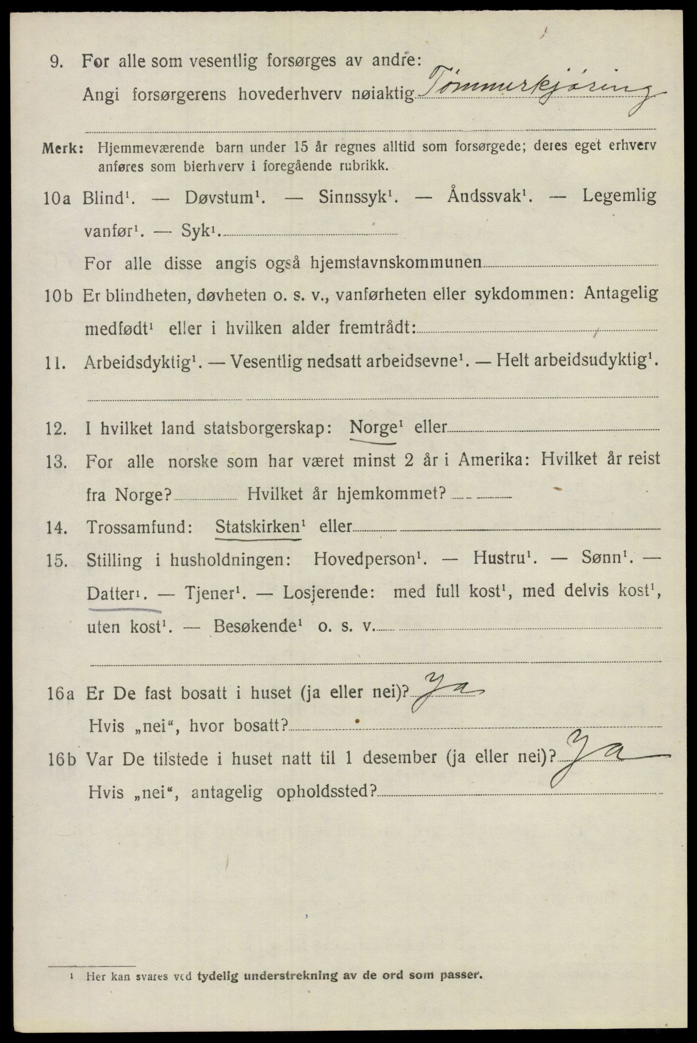 SAO, Folketelling 1920 for 0236 Nes herred, 1920, s. 6537
