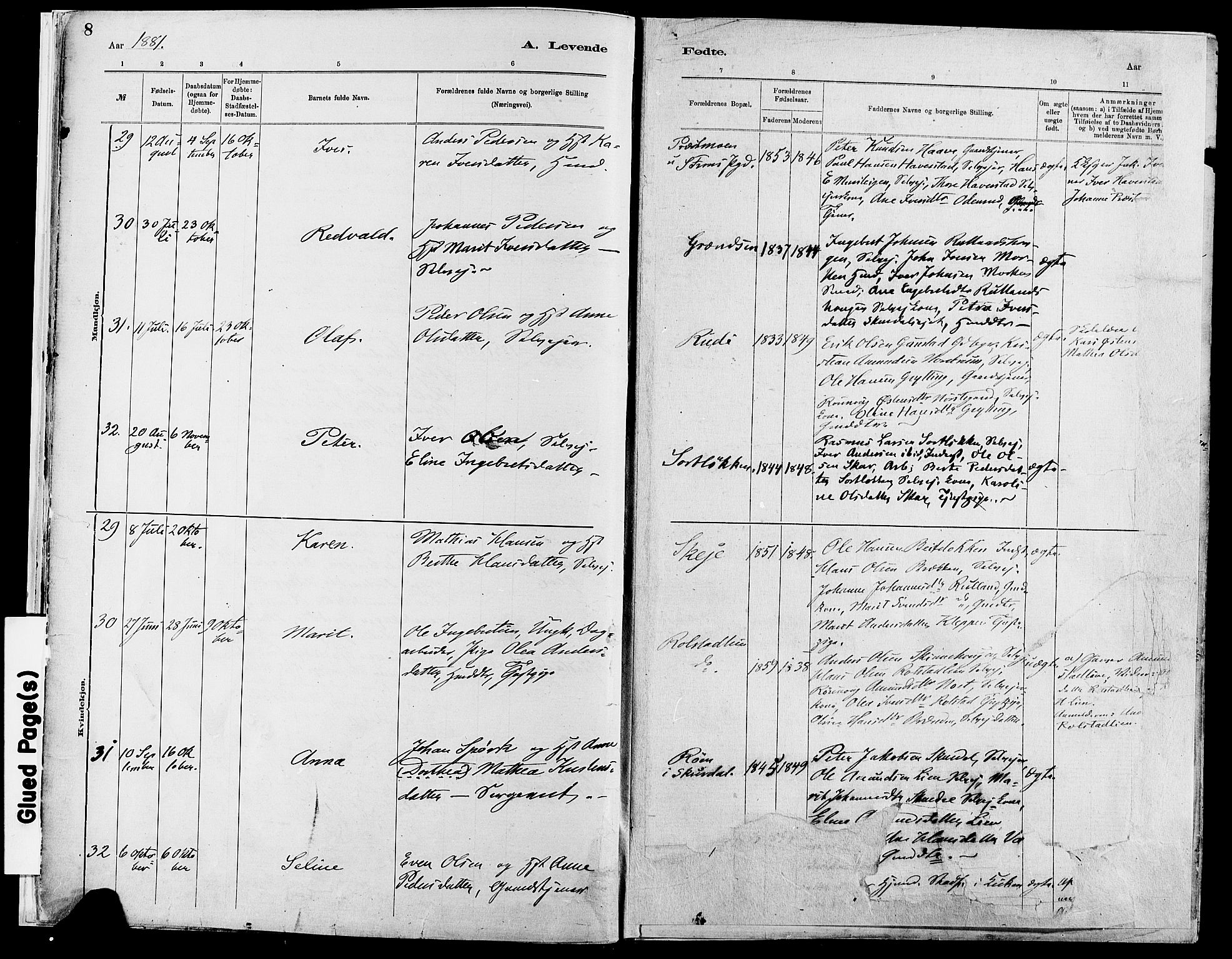 Sør-Fron prestekontor, AV/SAH-PREST-010/H/Ha/Haa/L0003: Ministerialbok nr. 3, 1881-1897, s. 8