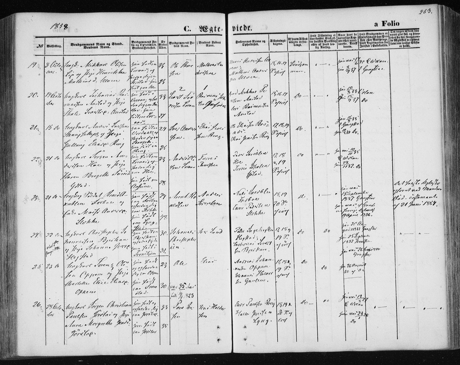 Ministerialprotokoller, klokkerbøker og fødselsregistre - Nord-Trøndelag, AV/SAT-A-1458/730/L0283: Ministerialbok nr. 730A08, 1855-1865, s. 263