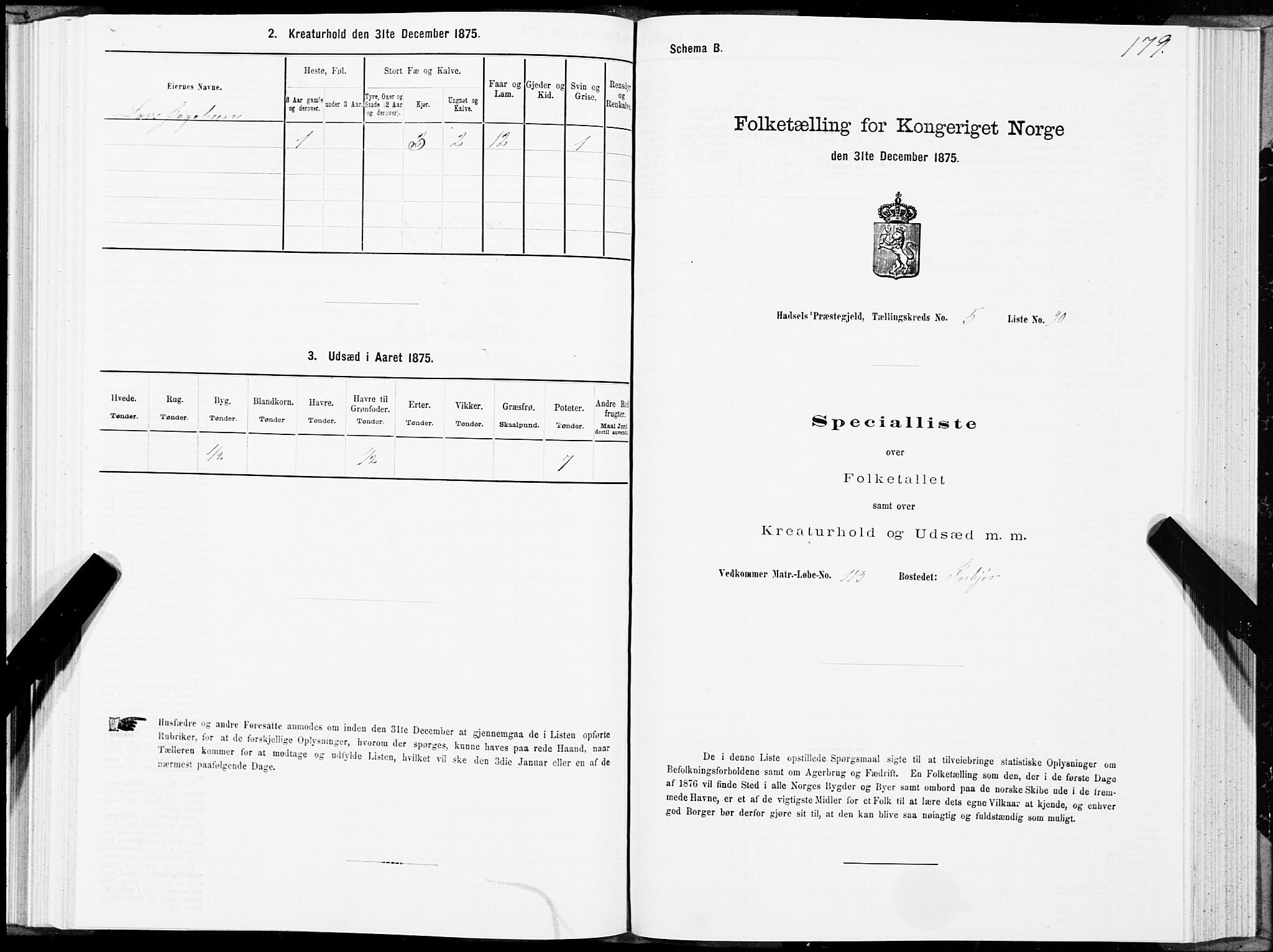 SAT, Folketelling 1875 for 1866P Hadsel prestegjeld, 1875, s. 3179