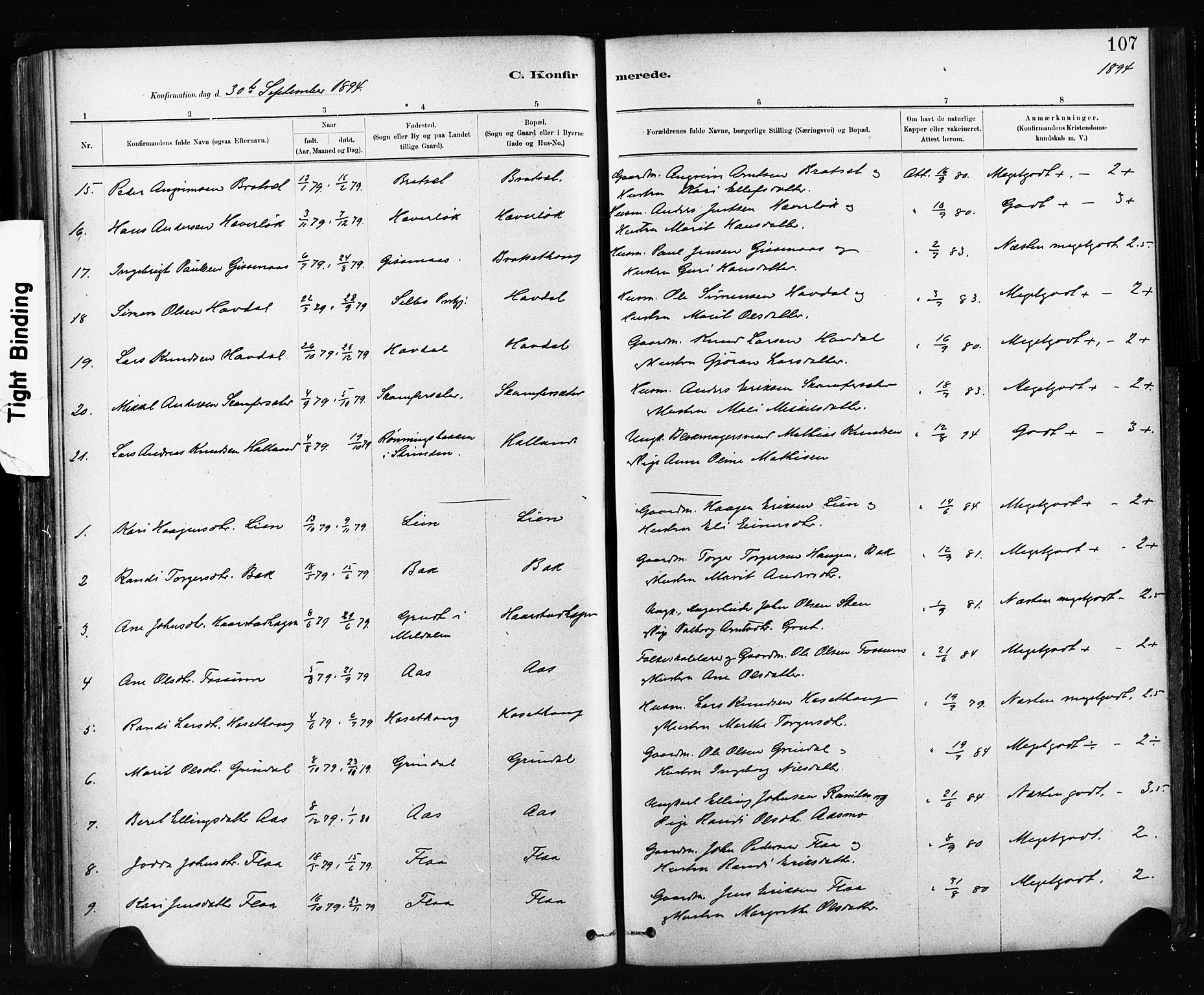 Ministerialprotokoller, klokkerbøker og fødselsregistre - Sør-Trøndelag, SAT/A-1456/674/L0871: Ministerialbok nr. 674A03, 1880-1896, s. 107