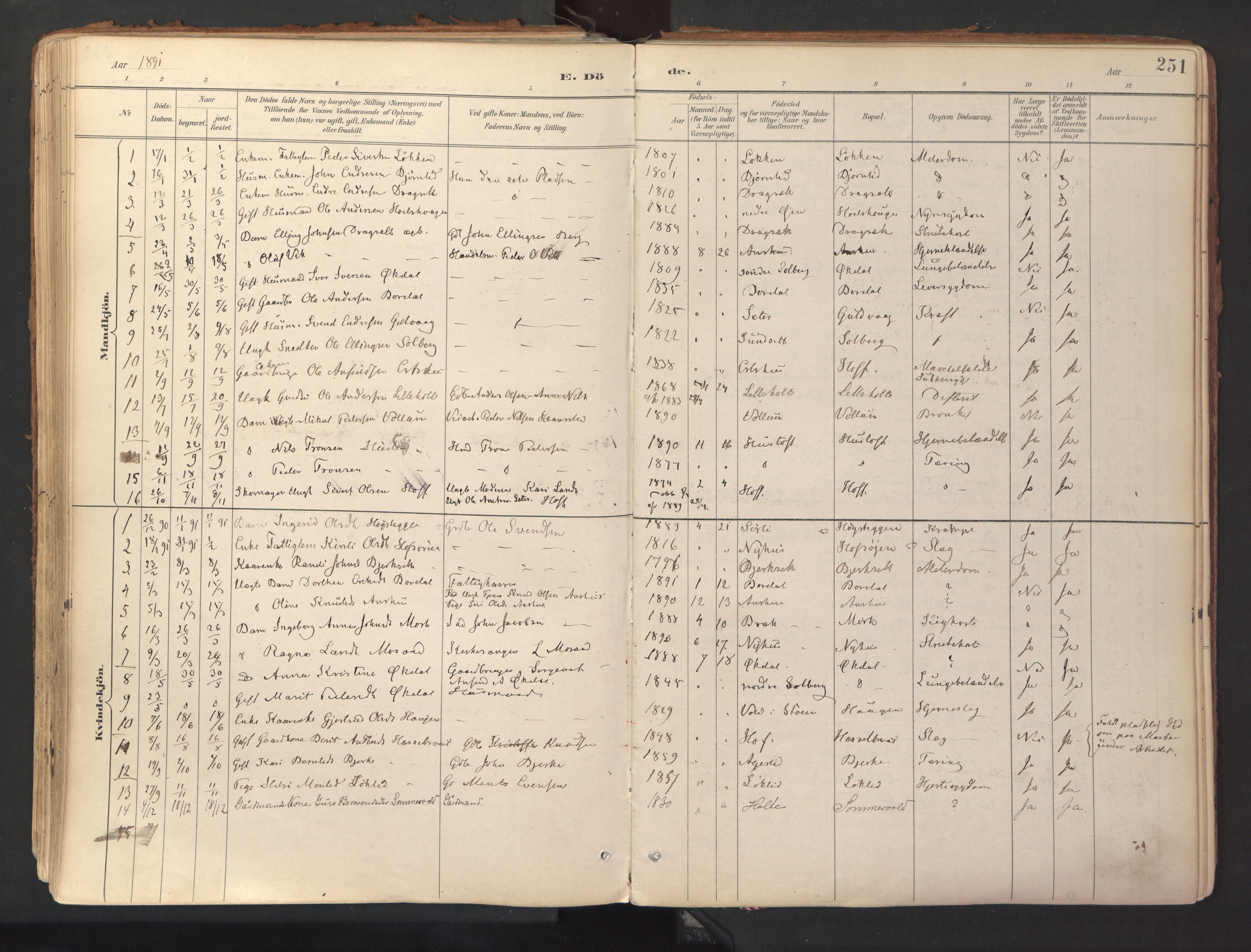 Ministerialprotokoller, klokkerbøker og fødselsregistre - Sør-Trøndelag, AV/SAT-A-1456/689/L1041: Ministerialbok nr. 689A06, 1891-1923, s. 251