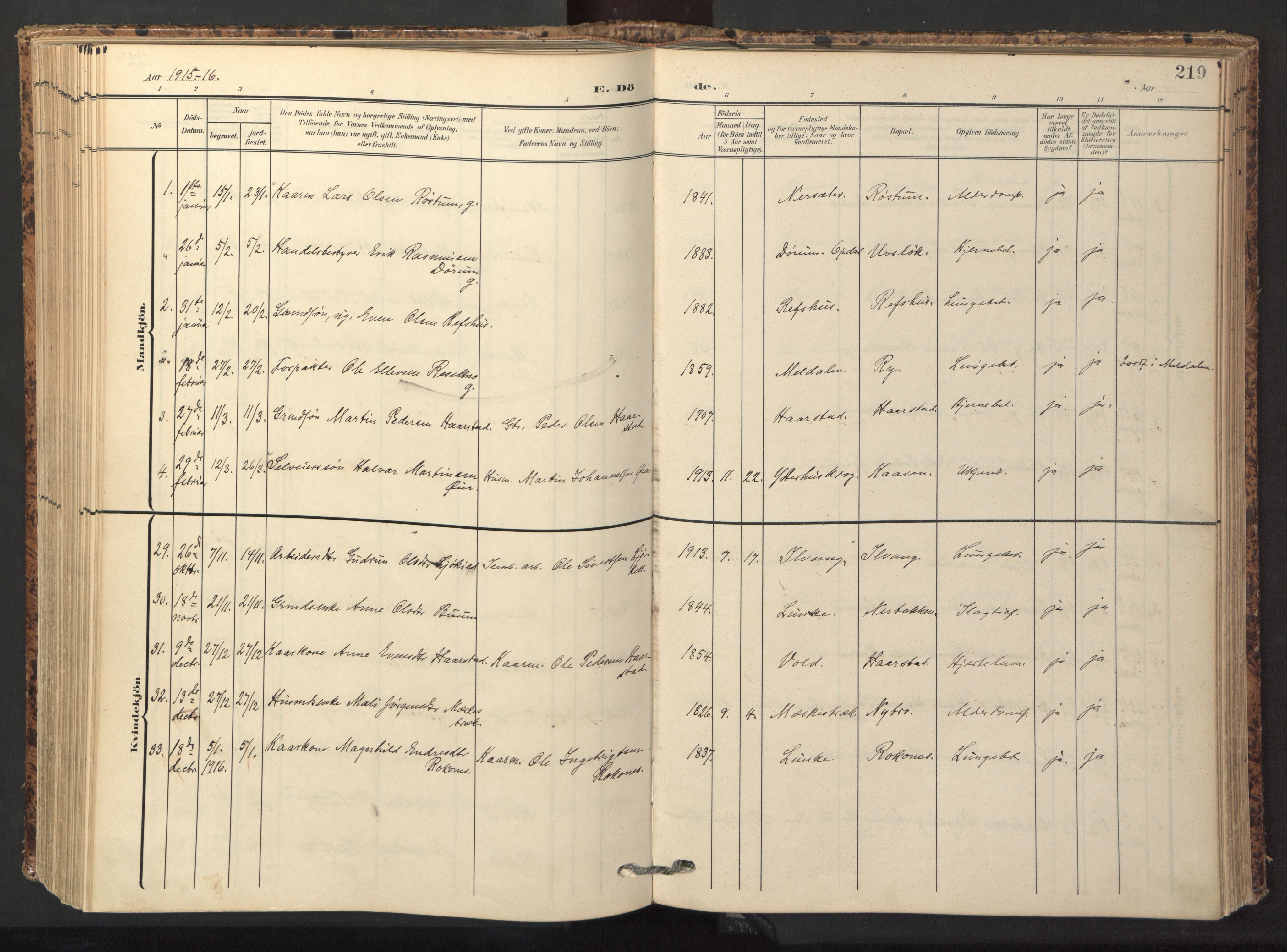 Ministerialprotokoller, klokkerbøker og fødselsregistre - Sør-Trøndelag, AV/SAT-A-1456/674/L0873: Ministerialbok nr. 674A05, 1908-1923, s. 219