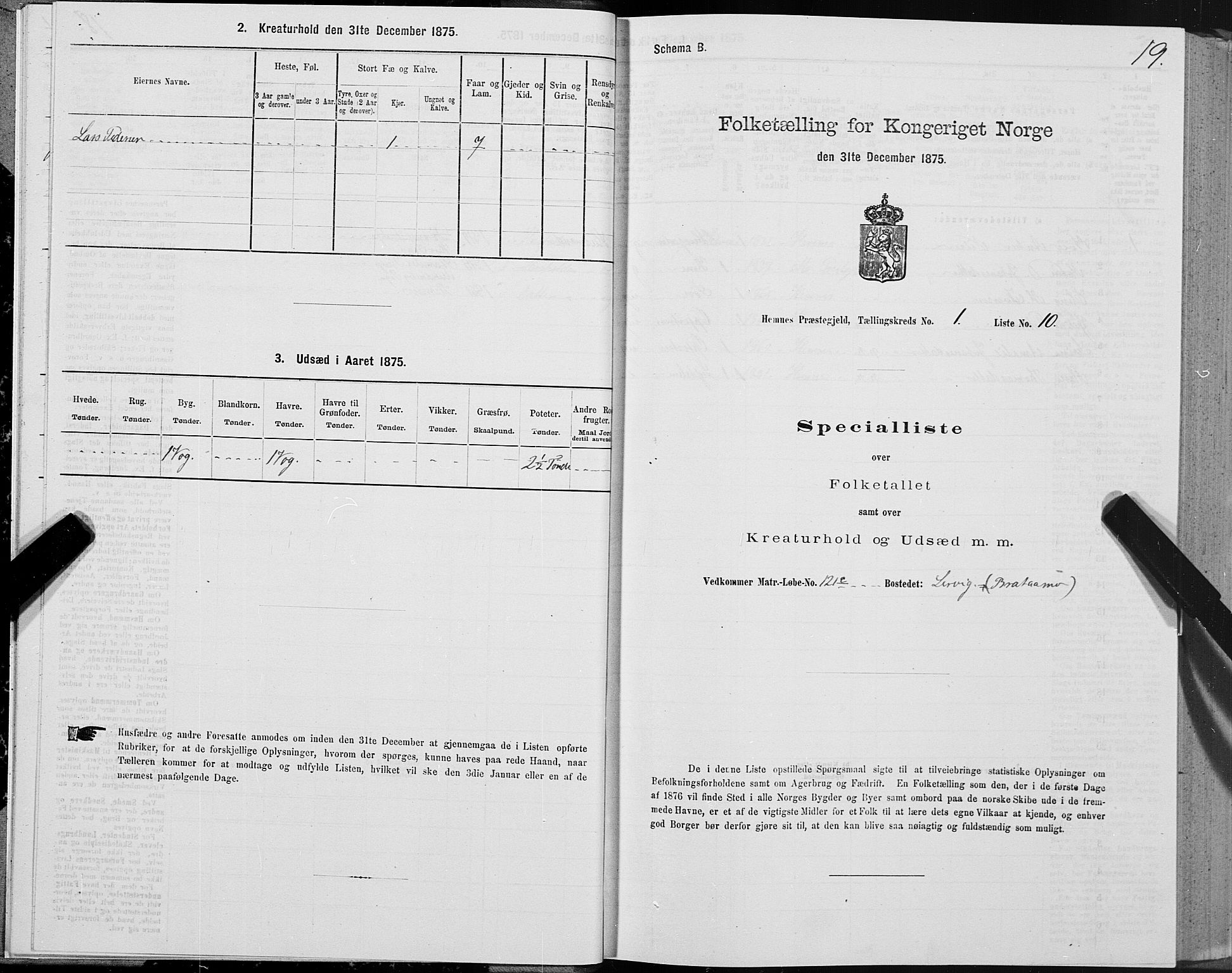 SAT, Folketelling 1875 for 1832P Hemnes prestegjeld, 1875, s. 1019