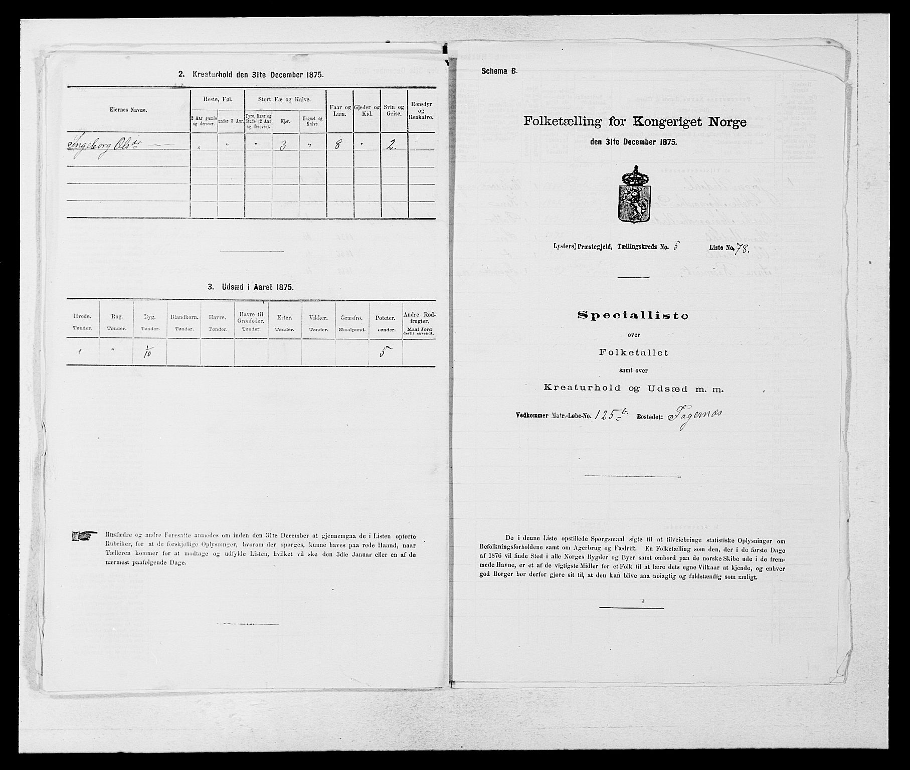 SAB, Folketelling 1875 for 1426P Luster prestegjeld, 1875, s. 929