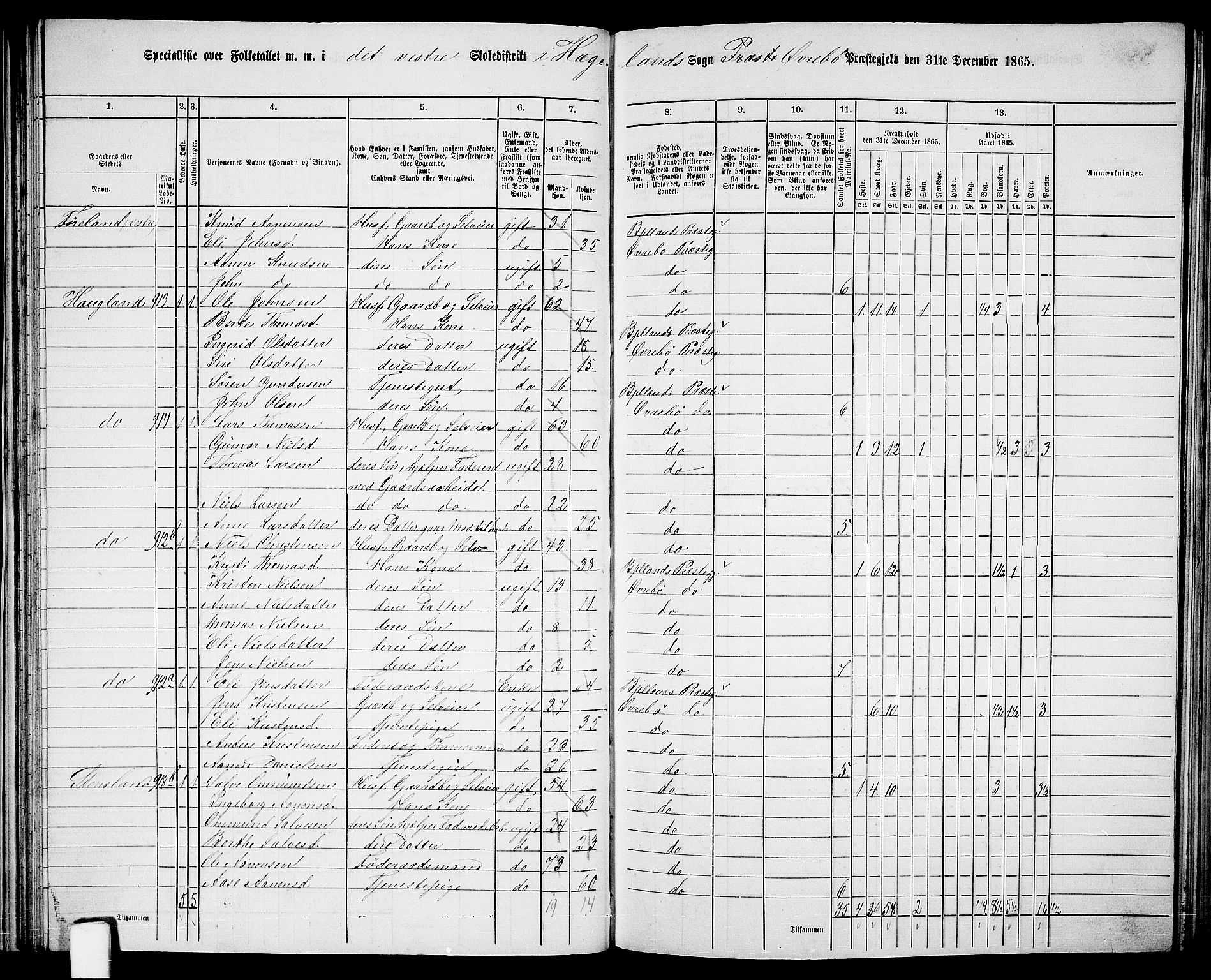 RA, Folketelling 1865 for 1016P Øvrebø prestegjeld, 1865, s. 54