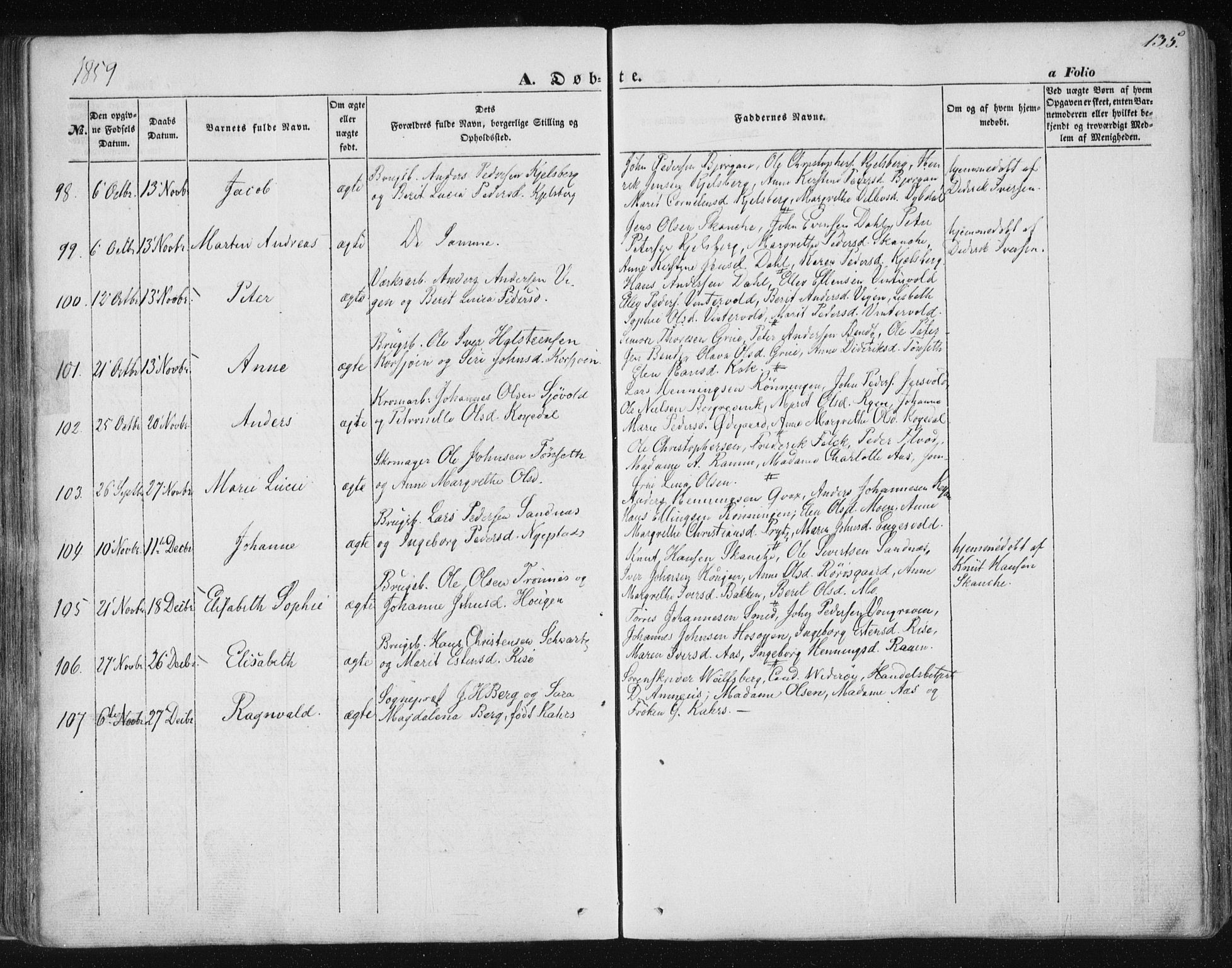 Ministerialprotokoller, klokkerbøker og fødselsregistre - Sør-Trøndelag, SAT/A-1456/681/L0931: Ministerialbok nr. 681A09, 1845-1859, s. 135