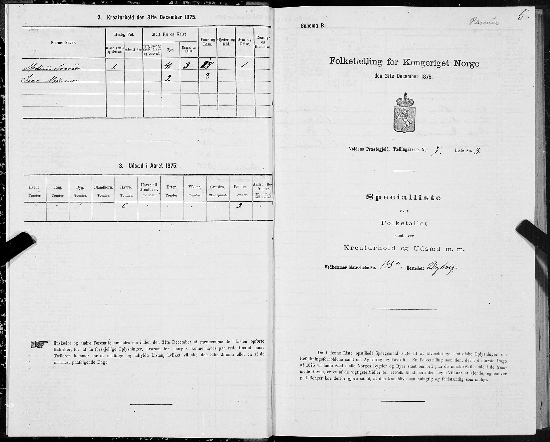 SAT, Folketelling 1875 for 1519P Volda prestegjeld, 1875, s. 5005