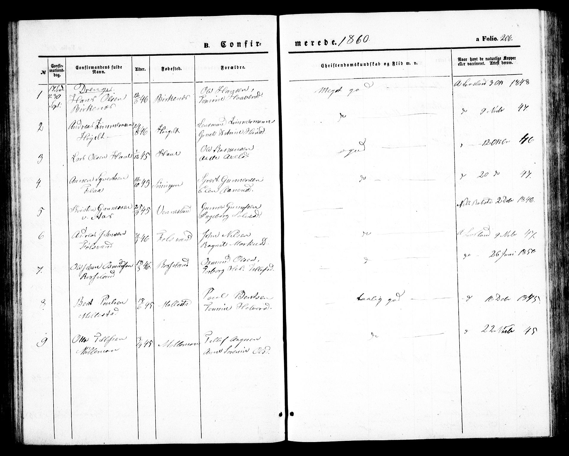Birkenes sokneprestkontor, SAK/1111-0004/F/Fb/L0002: Klokkerbok nr. B 2, 1849-1876, s. 206