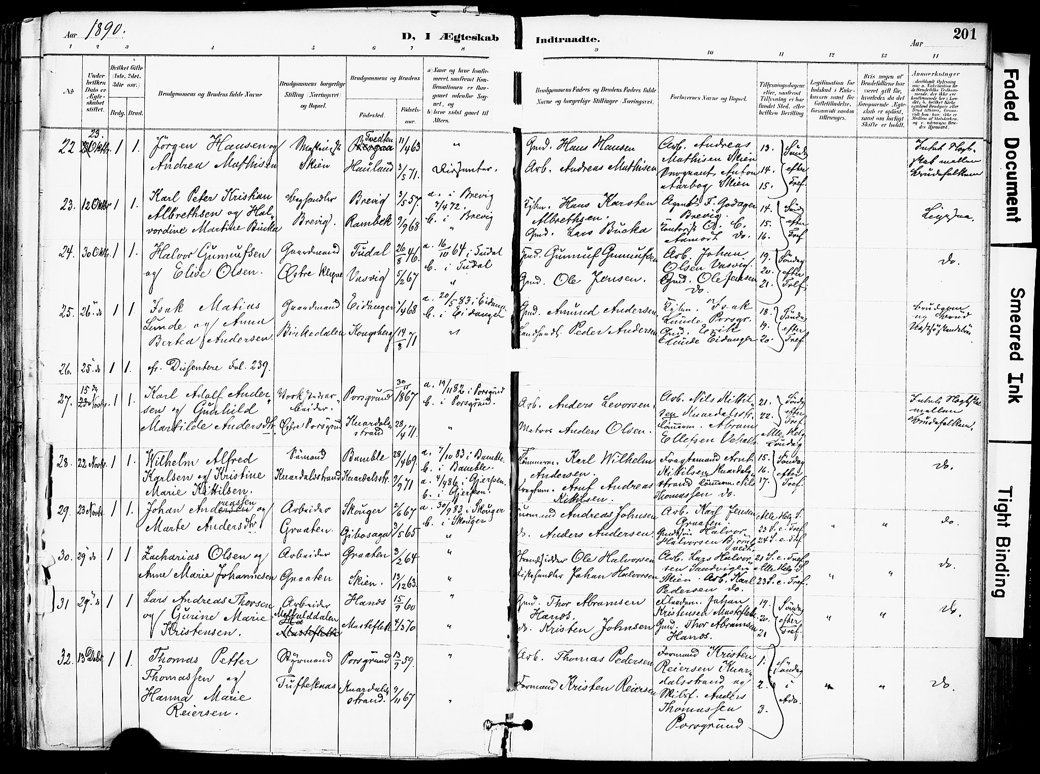 Solum kirkebøker, AV/SAKO-A-306/F/Fa/L0010: Ministerialbok nr. I 10, 1888-1898, s. 201