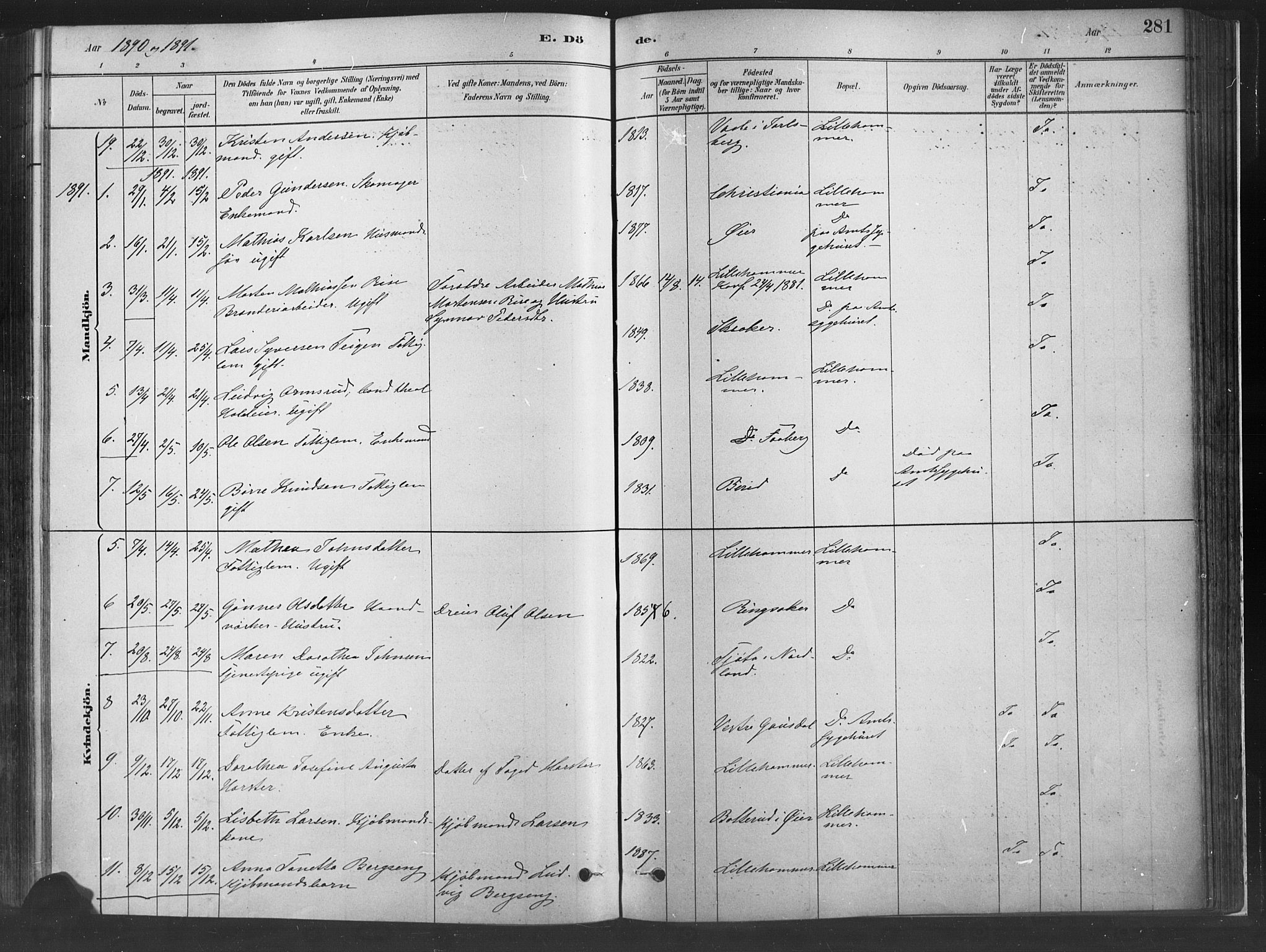 Fåberg prestekontor, AV/SAH-PREST-086/H/Ha/Haa/L0010: Ministerialbok nr. 10, 1879-1900, s. 281