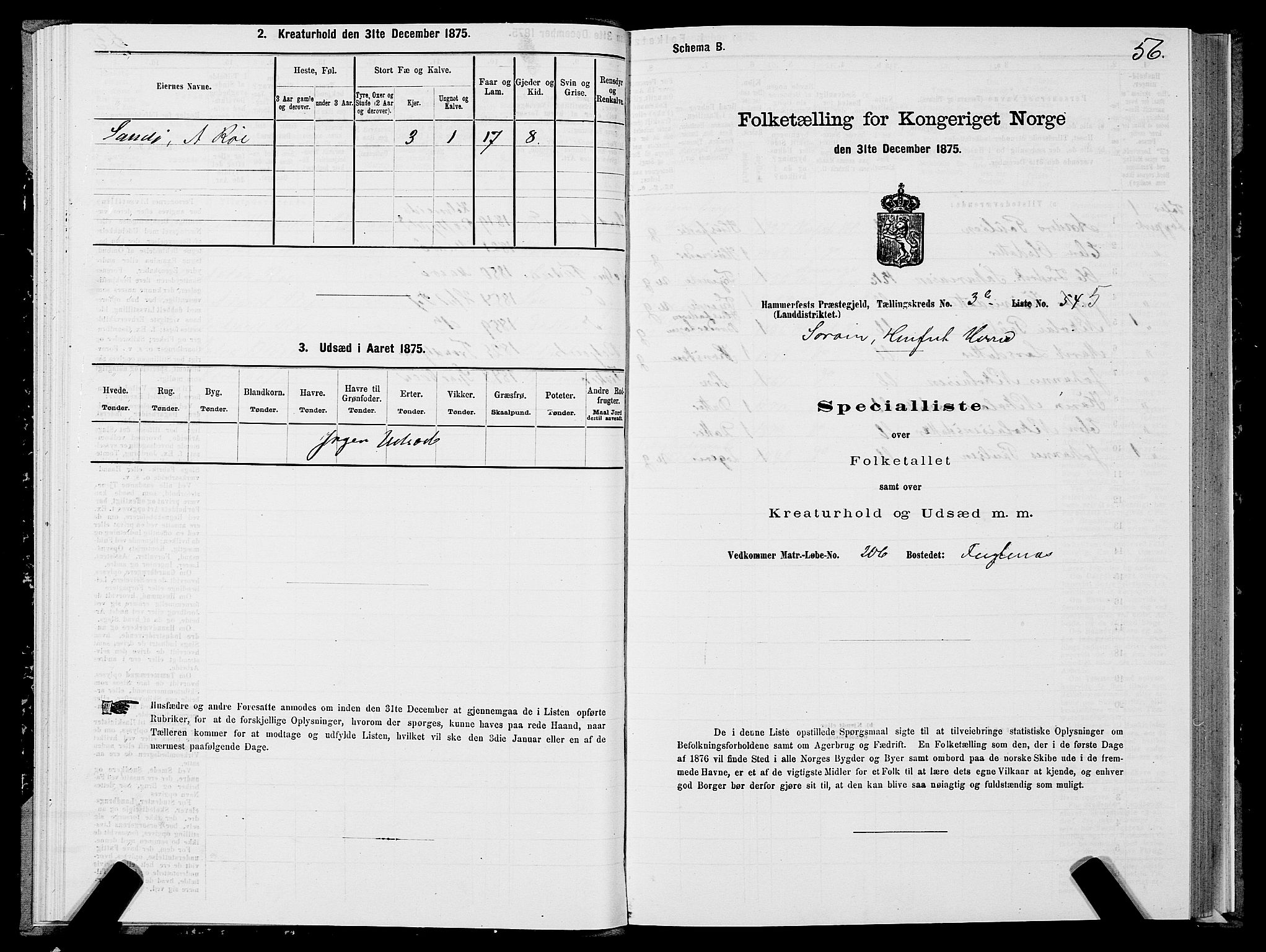 SATØ, Folketelling 1875 for 2016L Hammerfest prestegjeld, Hammerfest landsokn og Kvalsund sokn, 1875, s. 1056