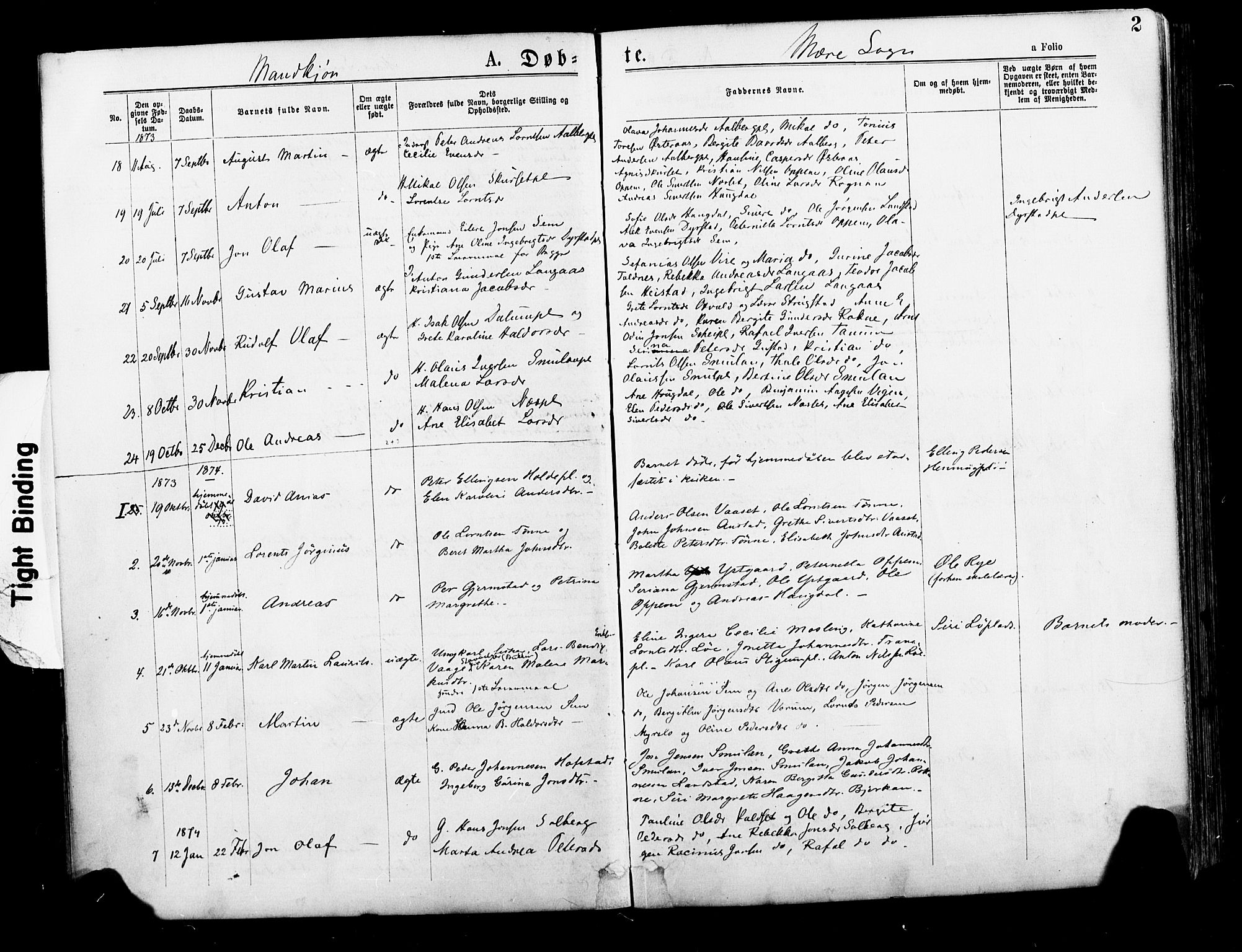 Ministerialprotokoller, klokkerbøker og fødselsregistre - Nord-Trøndelag, SAT/A-1458/735/L0348: Ministerialbok nr. 735A09 /1, 1873-1883, s. 2