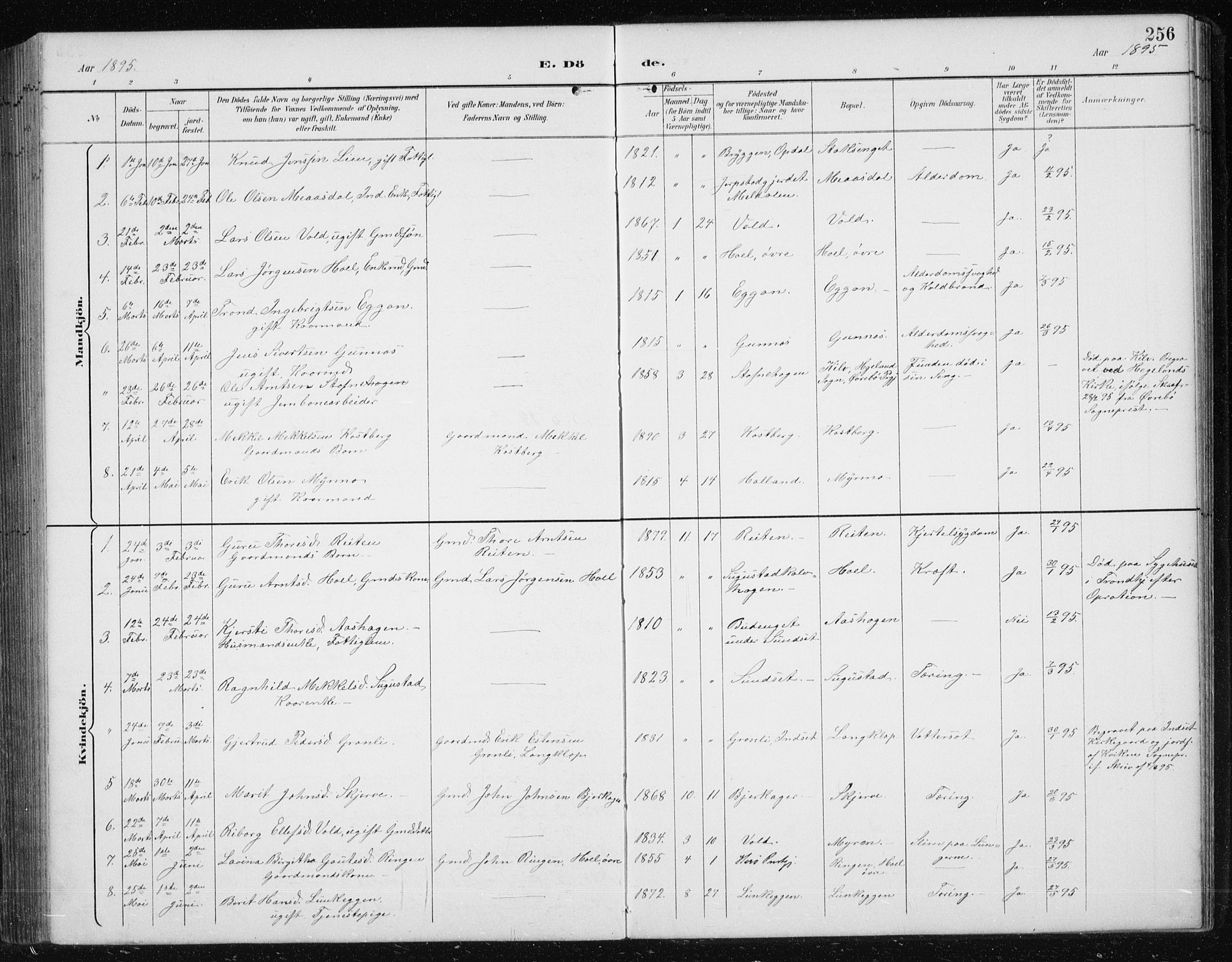 Ministerialprotokoller, klokkerbøker og fødselsregistre - Sør-Trøndelag, AV/SAT-A-1456/674/L0876: Klokkerbok nr. 674C03, 1892-1912, s. 256