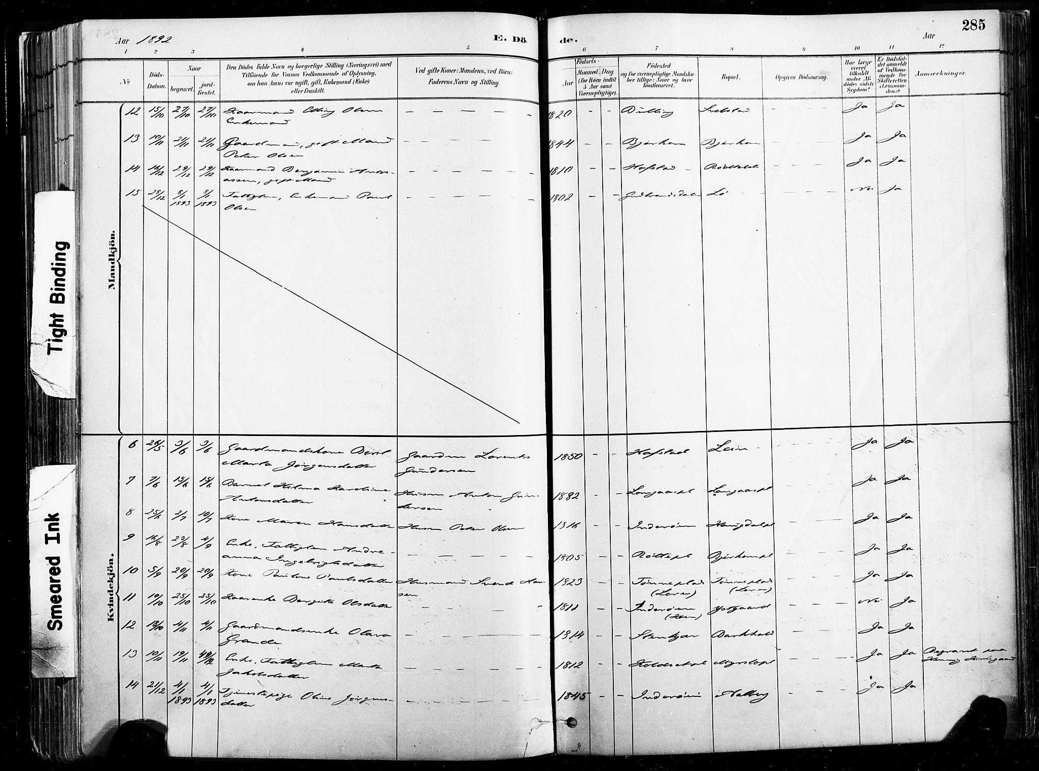 Ministerialprotokoller, klokkerbøker og fødselsregistre - Nord-Trøndelag, SAT/A-1458/735/L0351: Ministerialbok nr. 735A10, 1884-1908, s. 285