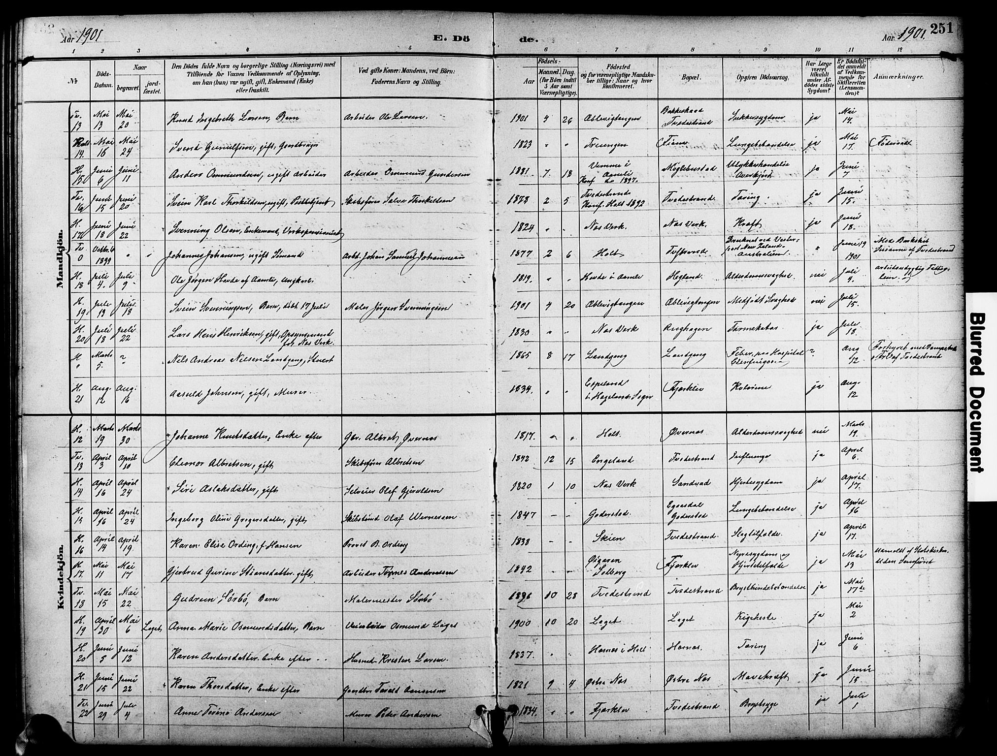 Holt sokneprestkontor, SAK/1111-0021/F/Fb/L0011: Klokkerbok nr. B 11, 1897-1921, s. 251