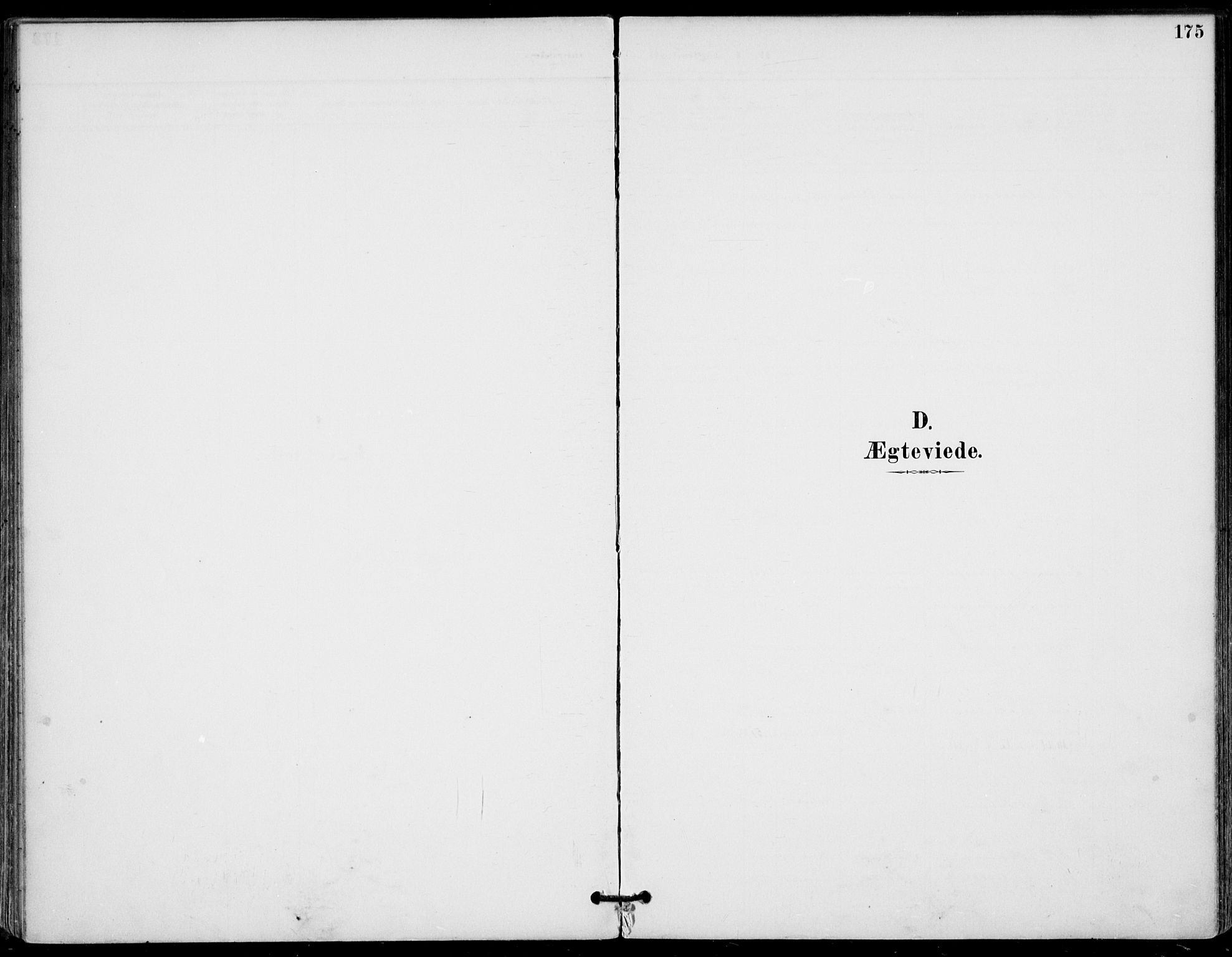 Gol kirkebøker, AV/SAKO-A-226/F/Fa/L0005: Ministerialbok nr. I 5, 1887-1900, s. 175