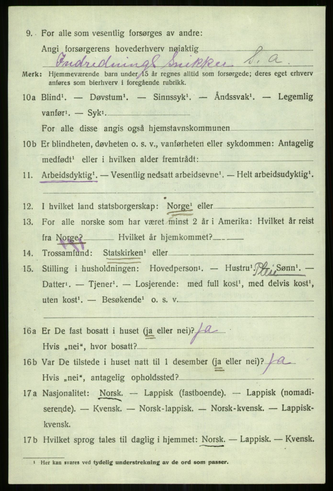 SATØ, Folketelling 1920 for 1936 Karlsøy herred, 1920, s. 4011