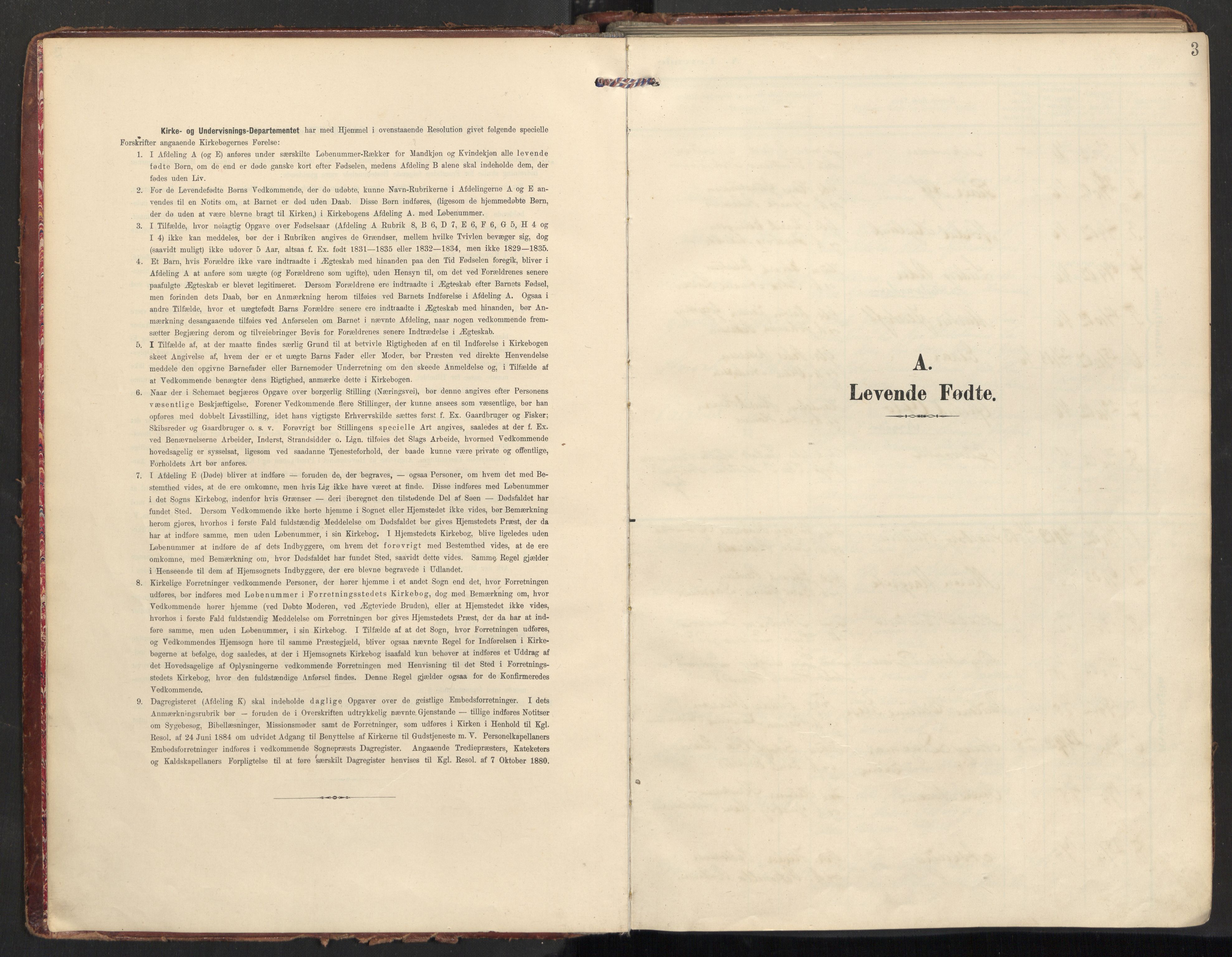 Ministerialprotokoller, klokkerbøker og fødselsregistre - Nordland, AV/SAT-A-1459/890/L1287: Ministerialbok nr. 890A02, 1903-1915, s. 3