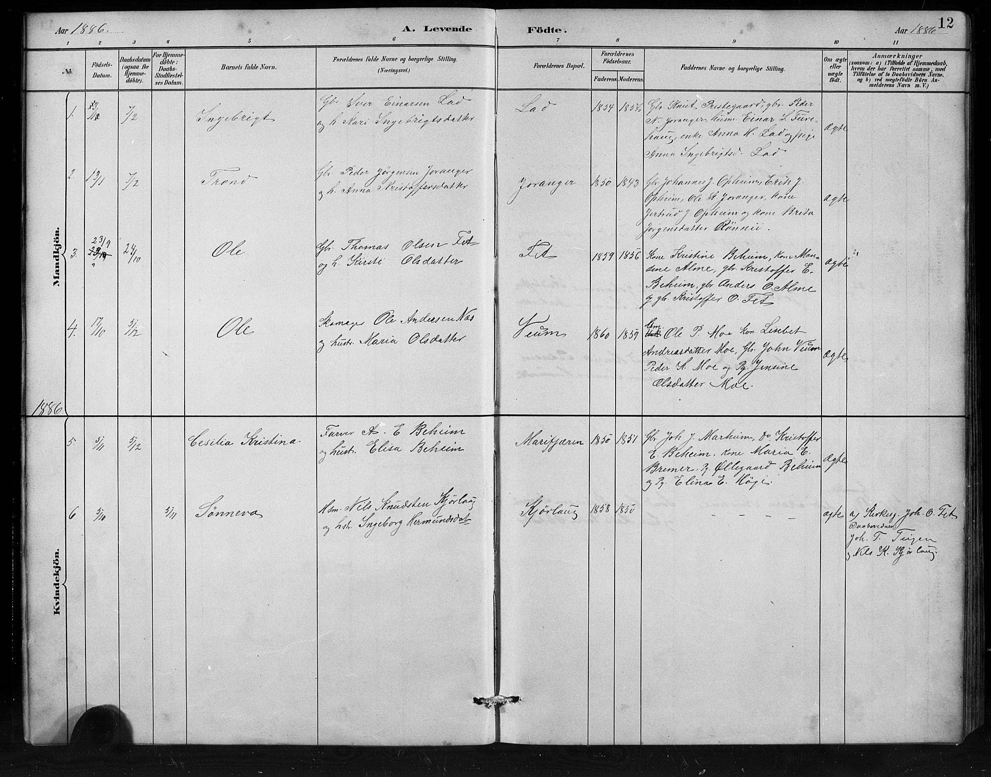 Jostedal sokneprestembete, AV/SAB-A-80601/H/Hab/Habd/L0001: Klokkerbok nr. D 1, 1882-1910, s. 12