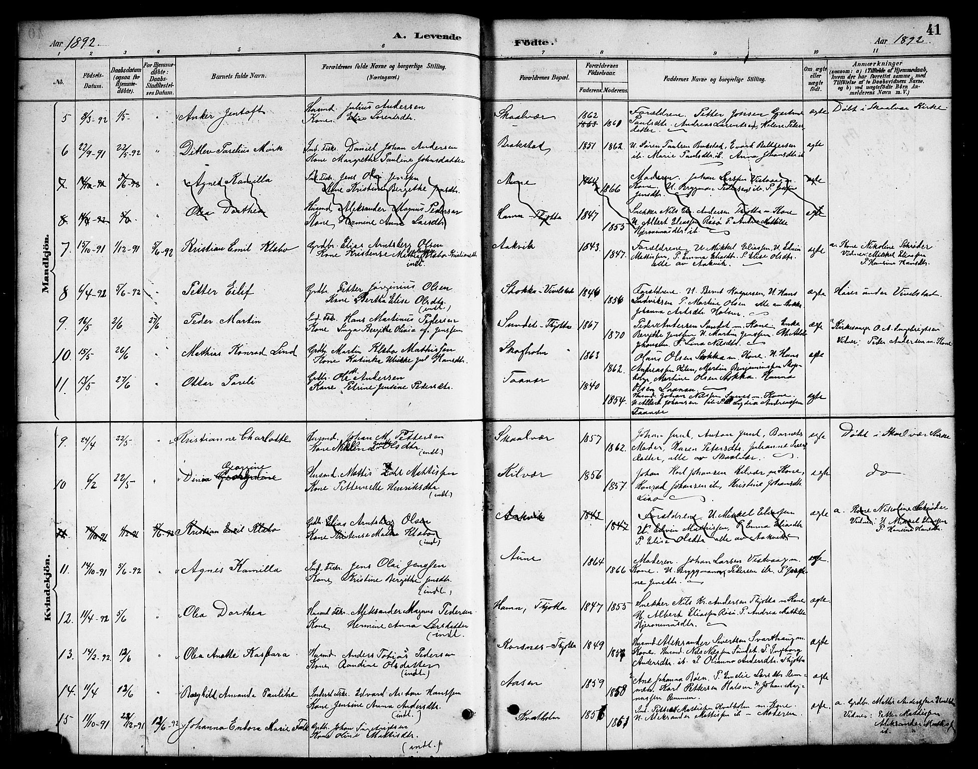 Ministerialprotokoller, klokkerbøker og fødselsregistre - Nordland, AV/SAT-A-1459/817/L0268: Klokkerbok nr. 817C03, 1884-1920, s. 41