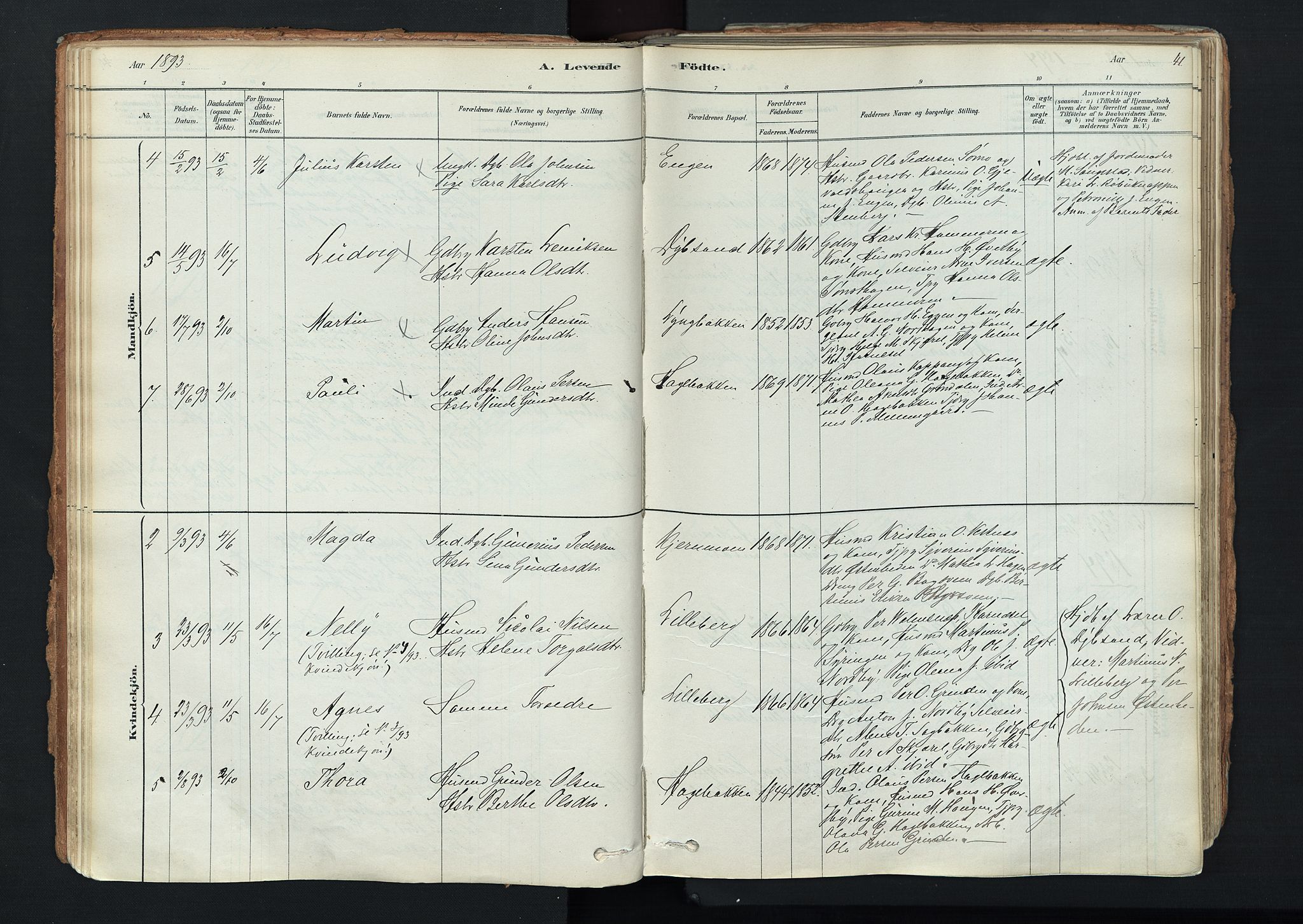 Trysil prestekontor, AV/SAH-PREST-046/H/Ha/Haa/L0011: Ministerialbok nr. 11, 1878-1912, s. 41