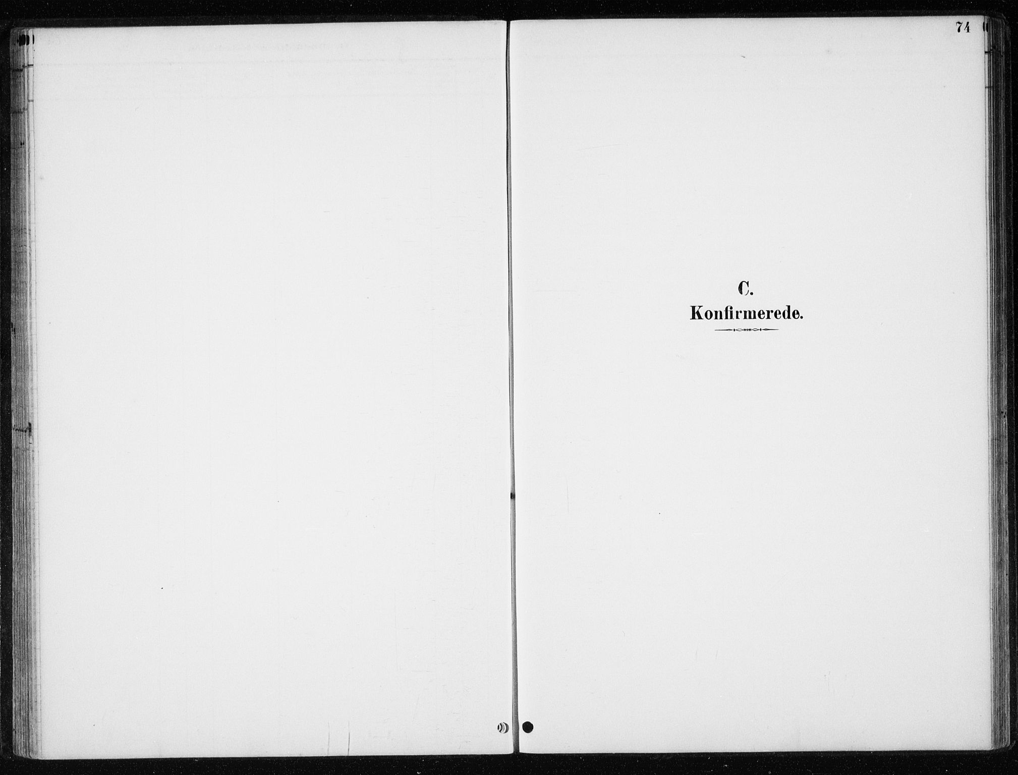 Ministerialprotokoller, klokkerbøker og fødselsregistre - Nord-Trøndelag, SAT/A-1458/710/L0096: Klokkerbok nr. 710C01, 1892-1925, s. 74