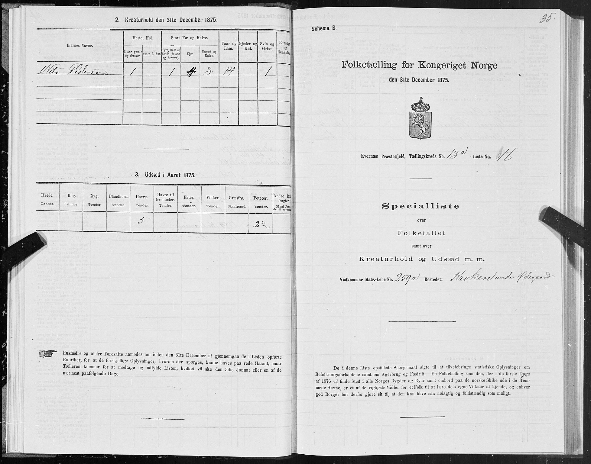 SAT, Folketelling 1875 for 1553P Kvernes prestegjeld, 1875, s. 7035