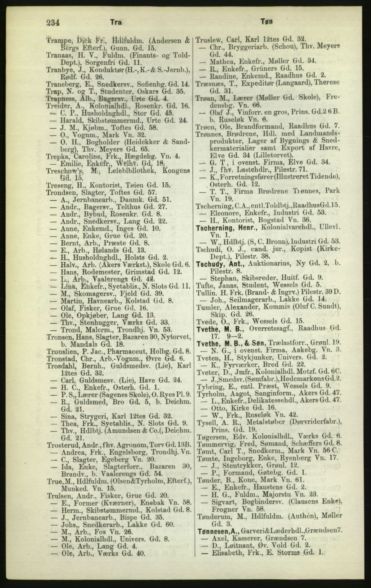 Kristiania/Oslo adressebok, PUBL/-, 1882, s. 234