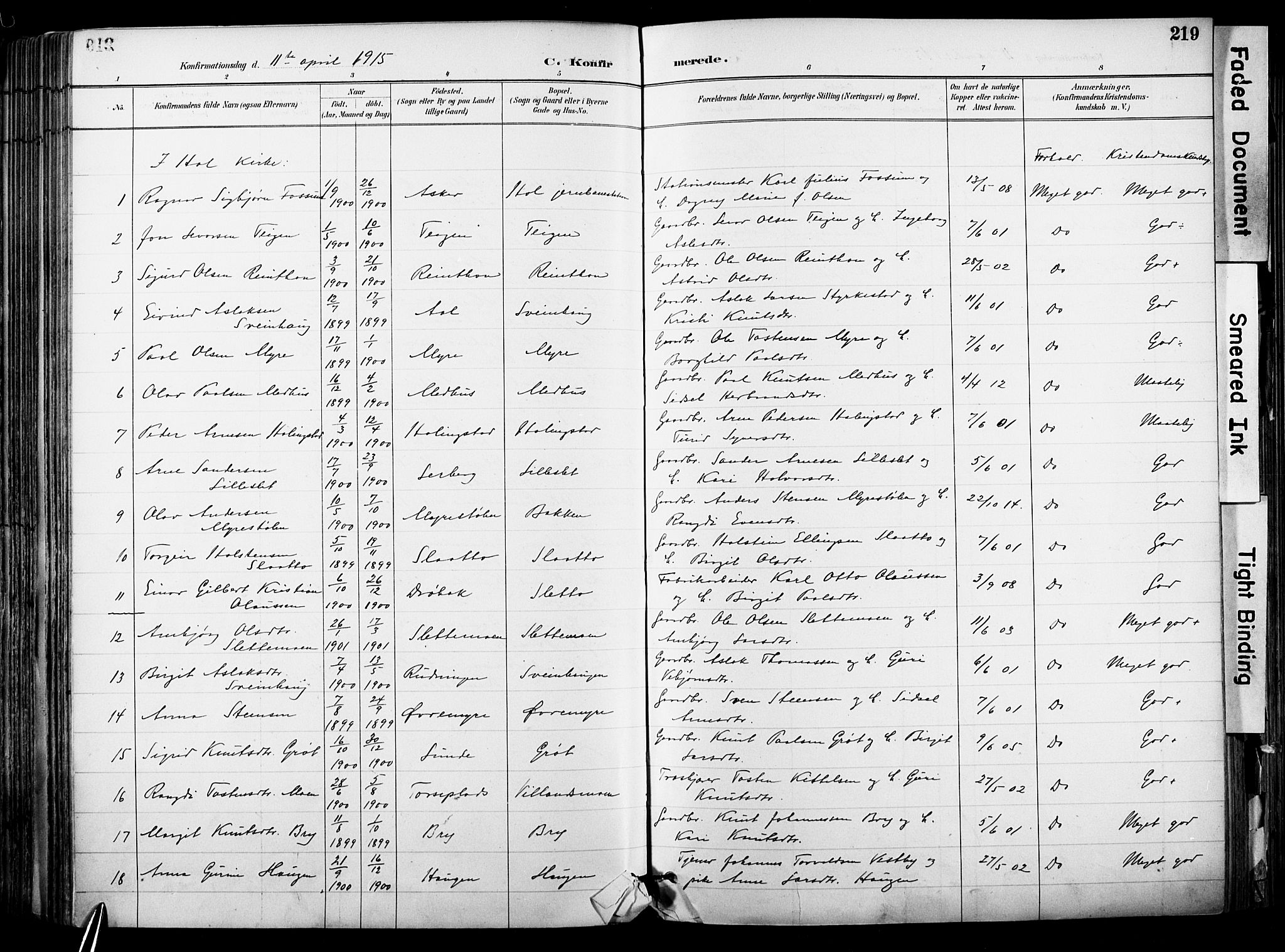 Hol kirkebøker, AV/SAKO-A-227/F/Fa/L0003: Ministerialbok nr. I 3, 1887-1918, s. 219