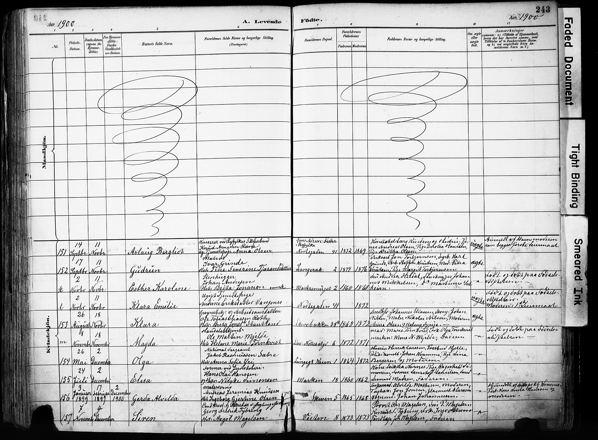 Domkirken sokneprestembete, AV/SAB-A-74801/H/Haa/L0024: Ministerialbok nr. B 7, 1888-1903, s. 243