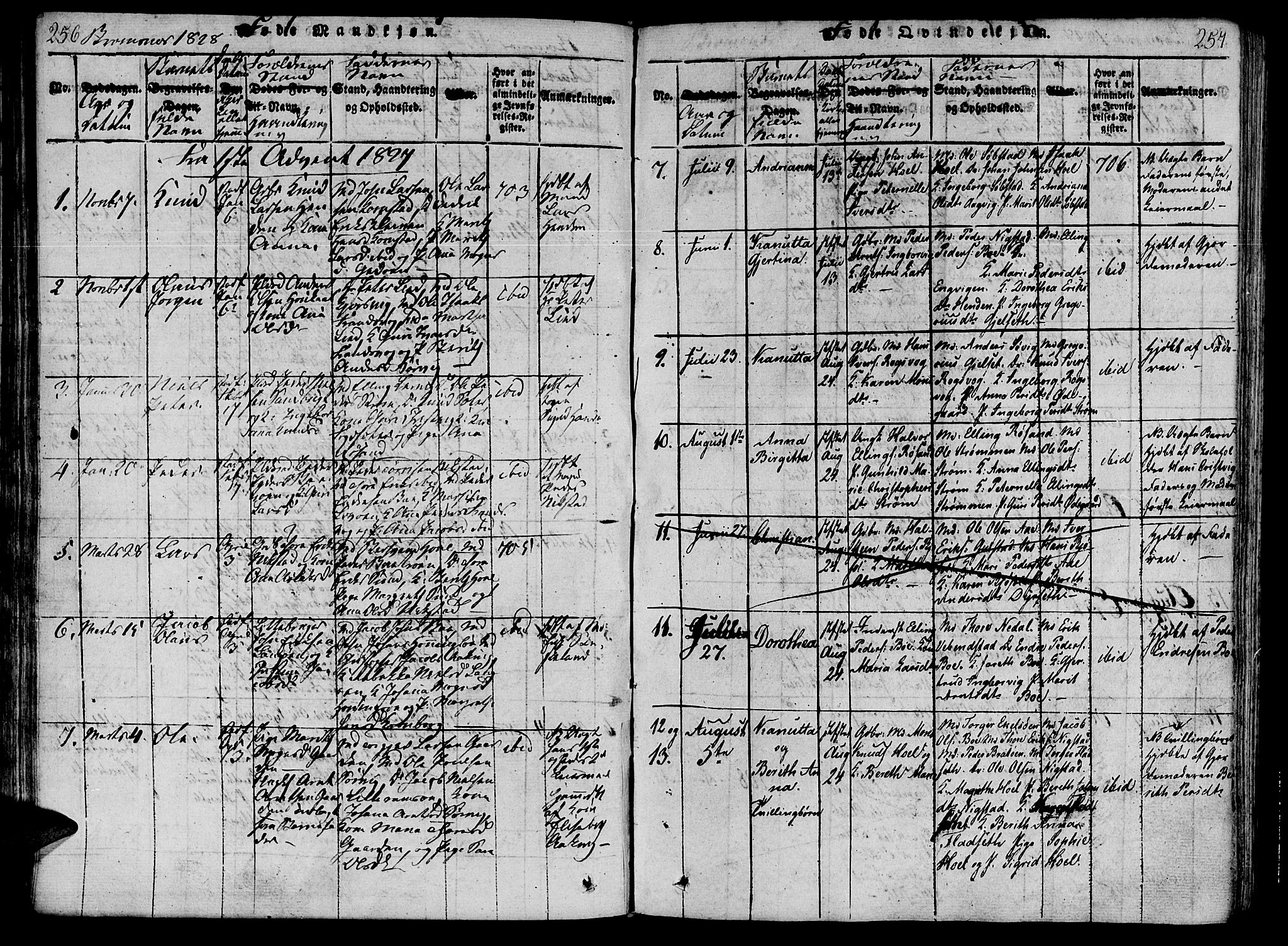 Ministerialprotokoller, klokkerbøker og fødselsregistre - Møre og Romsdal, AV/SAT-A-1454/568/L0800: Ministerialbok nr. 568A09 /2, 1820-1830, s. 256-257