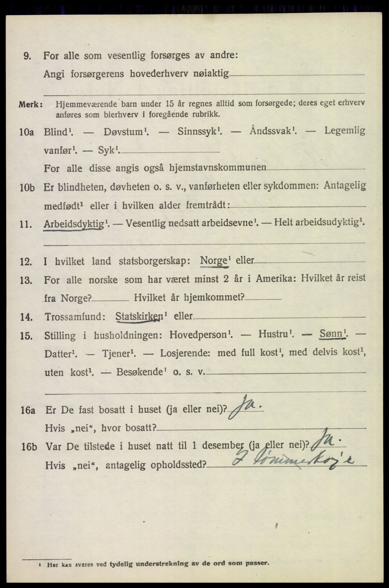 SAH, Folketelling 1920 for 0432 Ytre Rendal herred, 1920, s. 2916