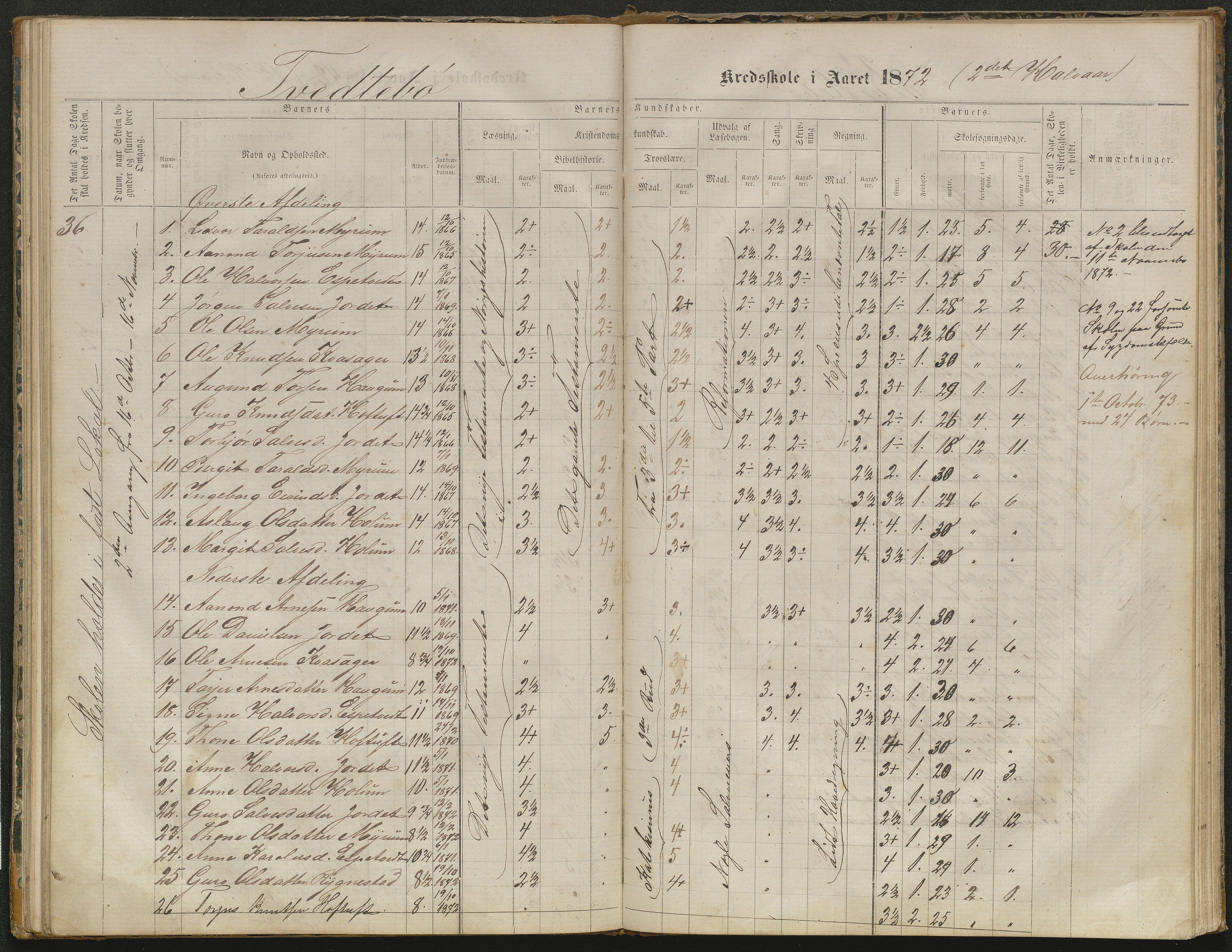 Valle kommune, AAKS/KA0940-PK/03/L0052: Karakterprotokoll for Homme skule. Karakterprotokoll for Oveinang skule. Karakterprotokoll for Tveitebø skule. Karakterprotokoll for den frivillige undervisning i Homme, 1863-1882