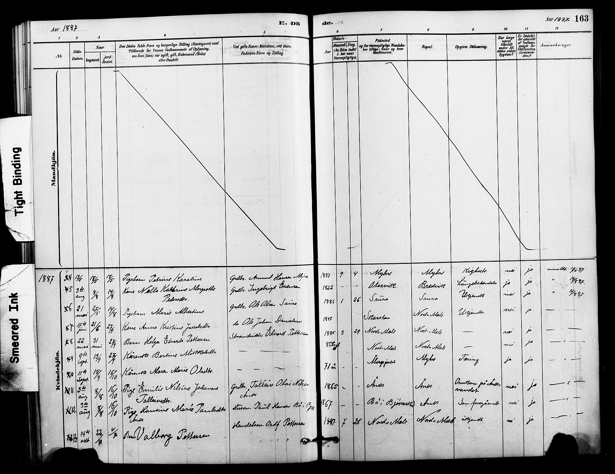 Ministerialprotokoller, klokkerbøker og fødselsregistre - Nordland, SAT/A-1459/897/L1399: Ministerialbok nr. 897C06, 1881-1896, s. 163