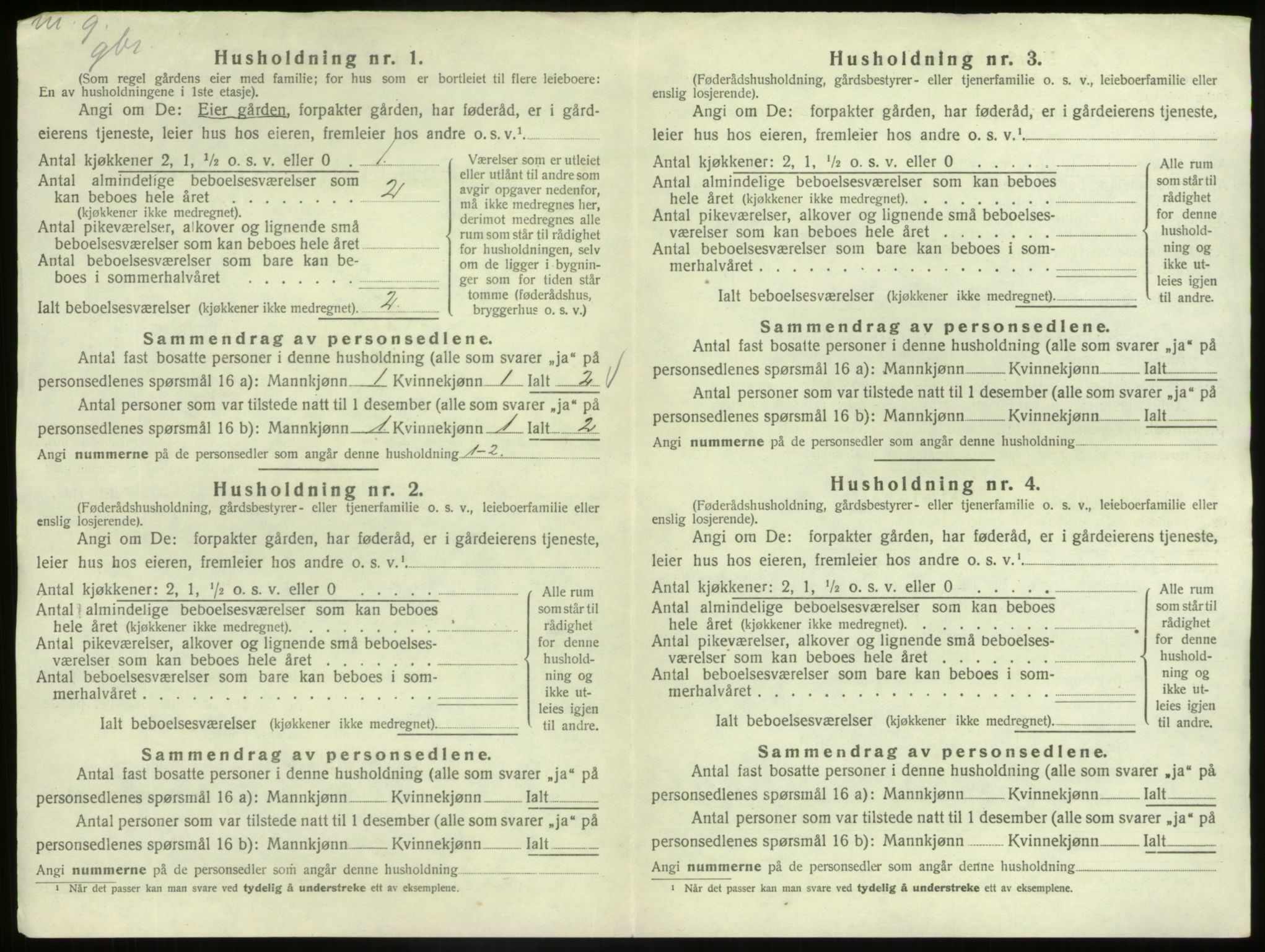 SAB, Folketelling 1920 for 1425 Hafslo herred, 1920, s. 39