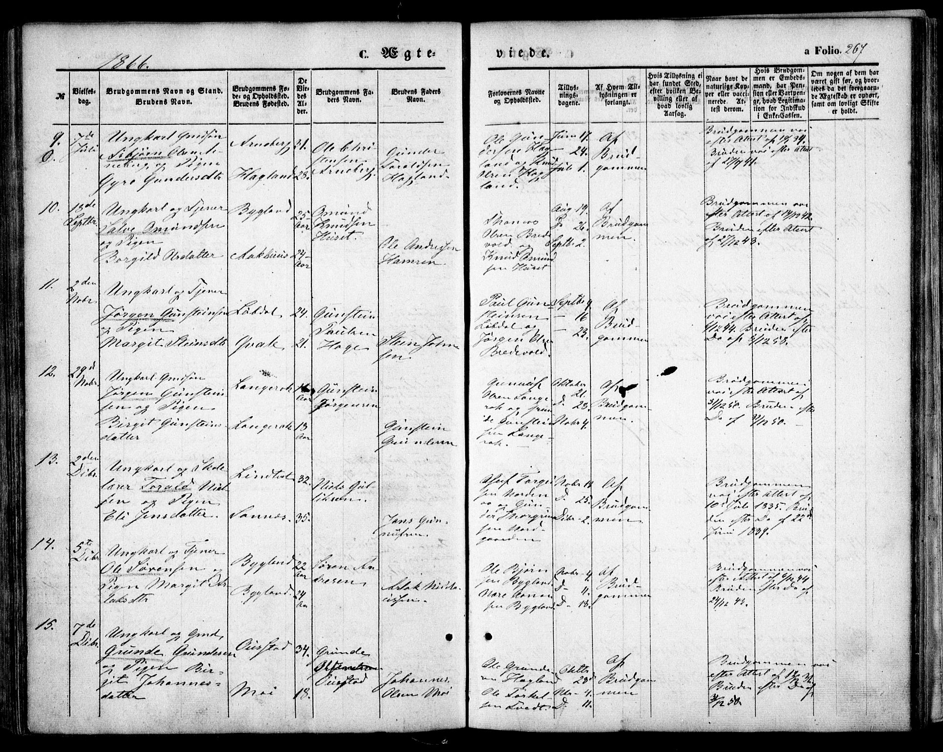 Bygland sokneprestkontor, AV/SAK-1111-0006/F/Fa/Fab/L0005: Ministerialbok nr. A 5, 1859-1873, s. 267